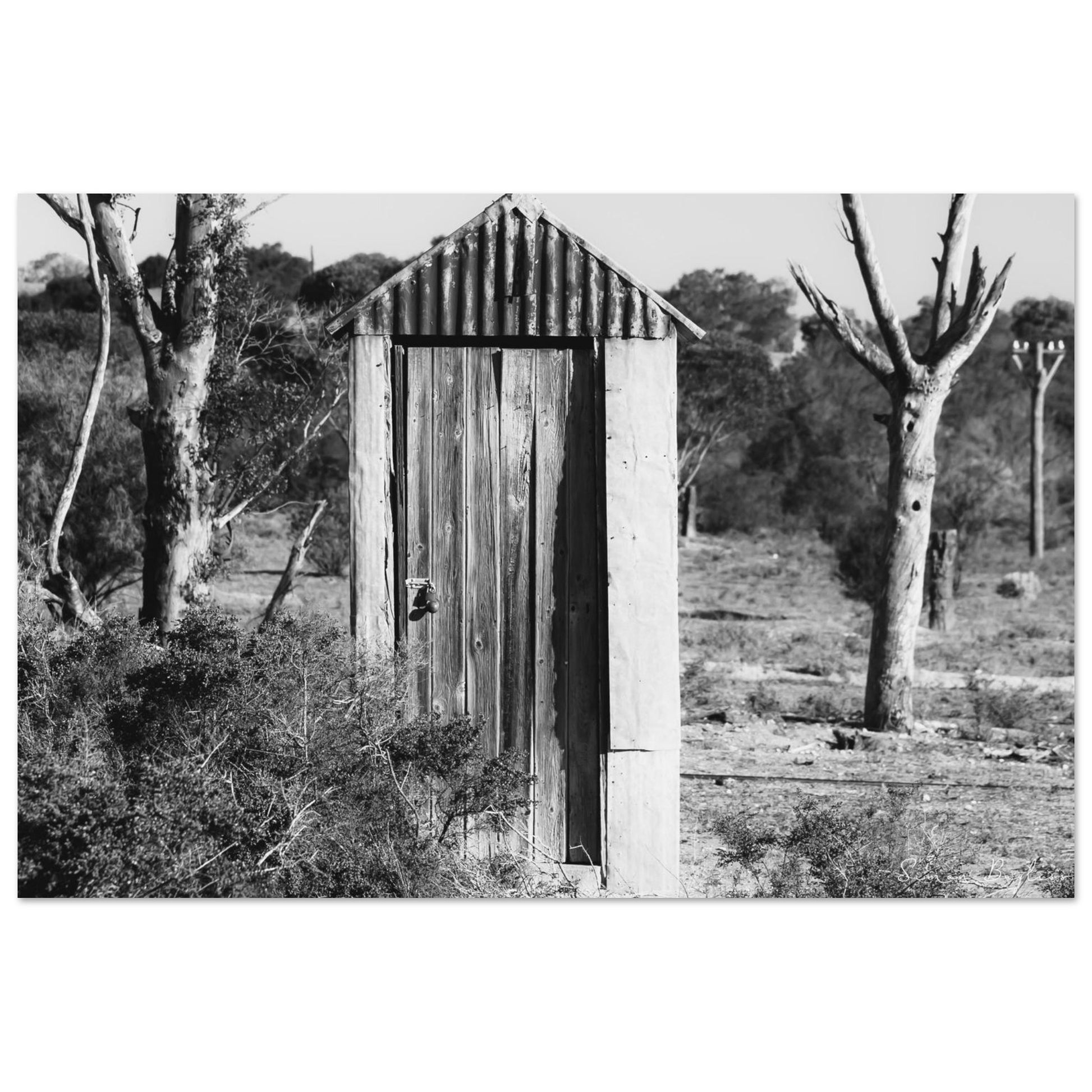 55634c7e-419d-4138-91e0-dcd6a0ee663d