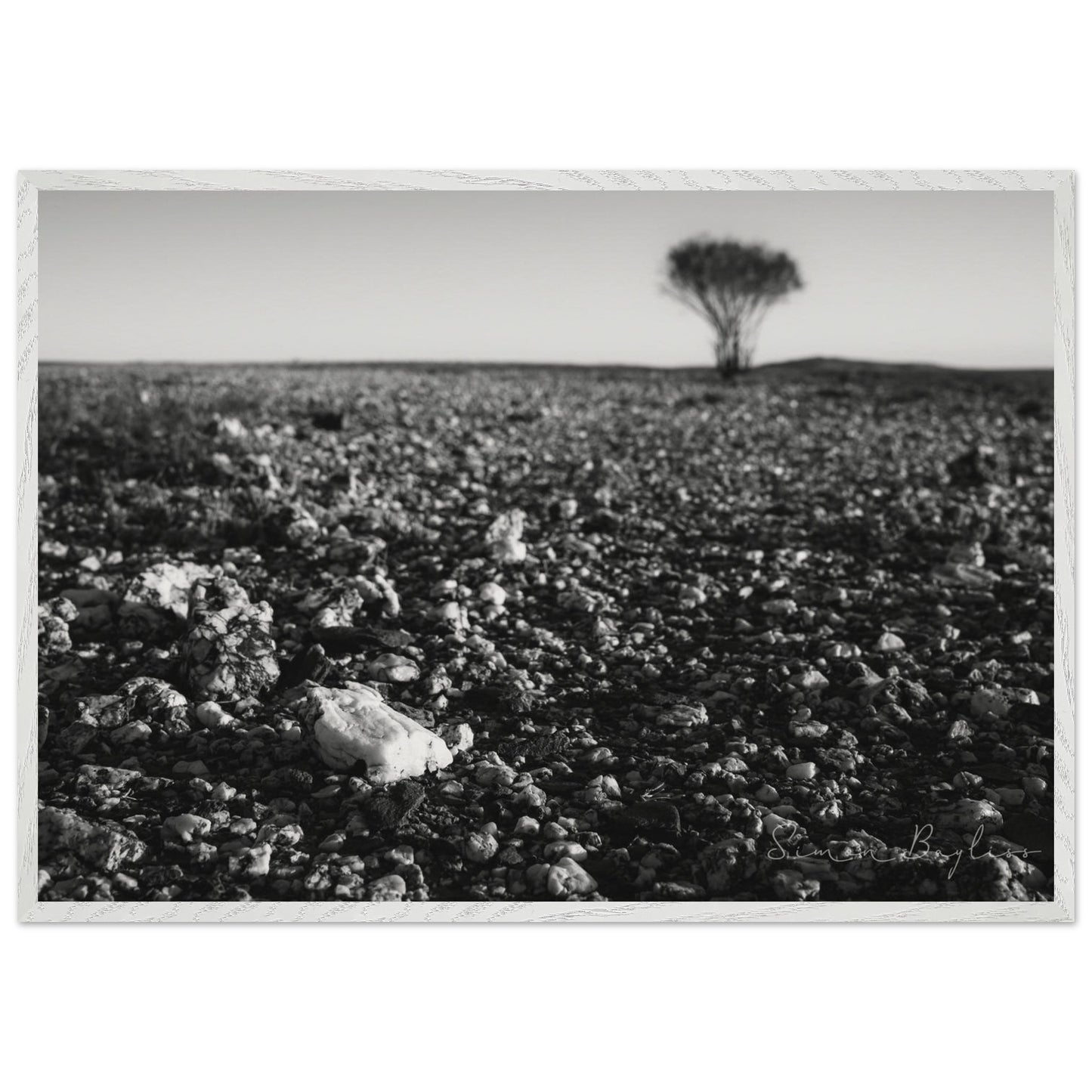 55752f75-6bda-4451-bbc1-b62bc4adbebf