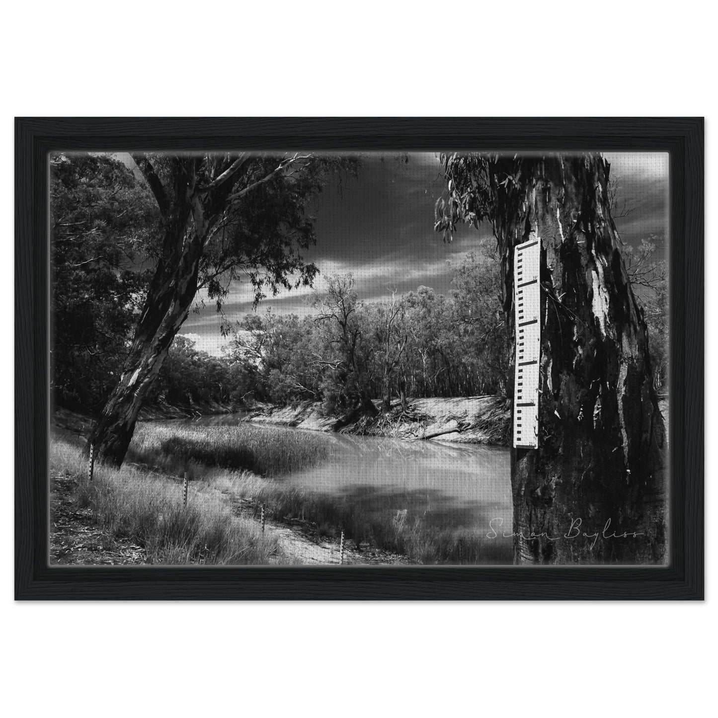 55940b46-54a1-4456-a0ee-dd98a2069c3e