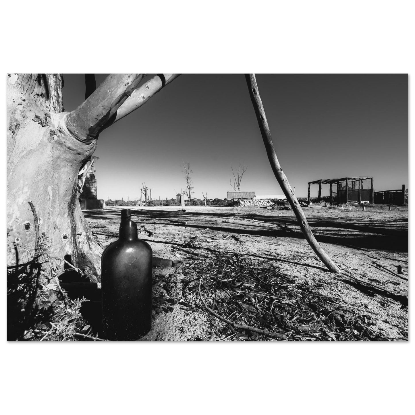 563dd465-5317-47fc-a026-0d25fe135647