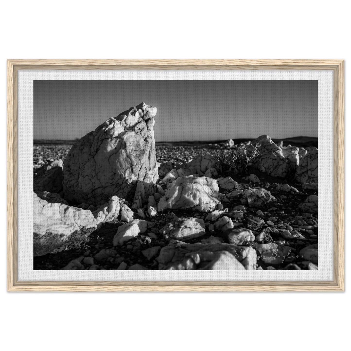 5646704d-8f0f-4bde-ba6e-569f65959471