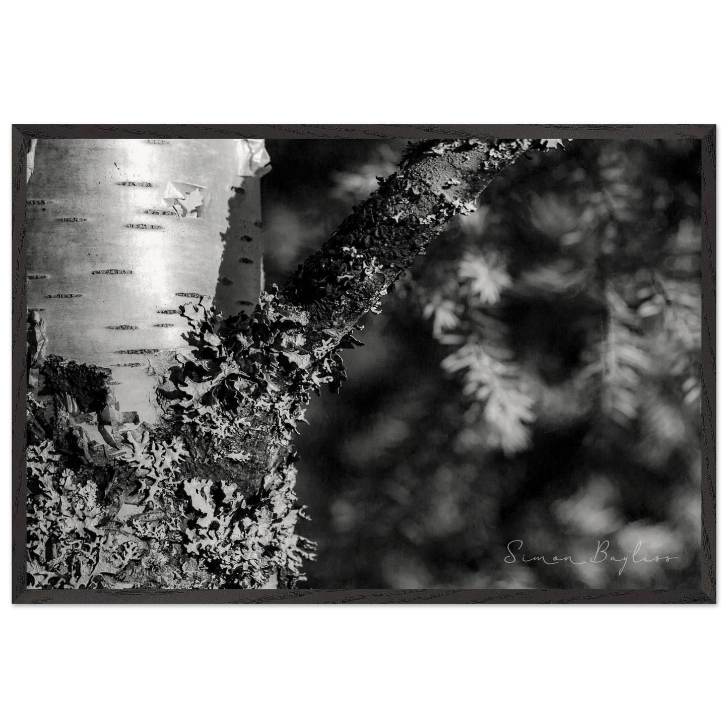 572609c5-177e-4020-b21a-6c0c31e5bdfd