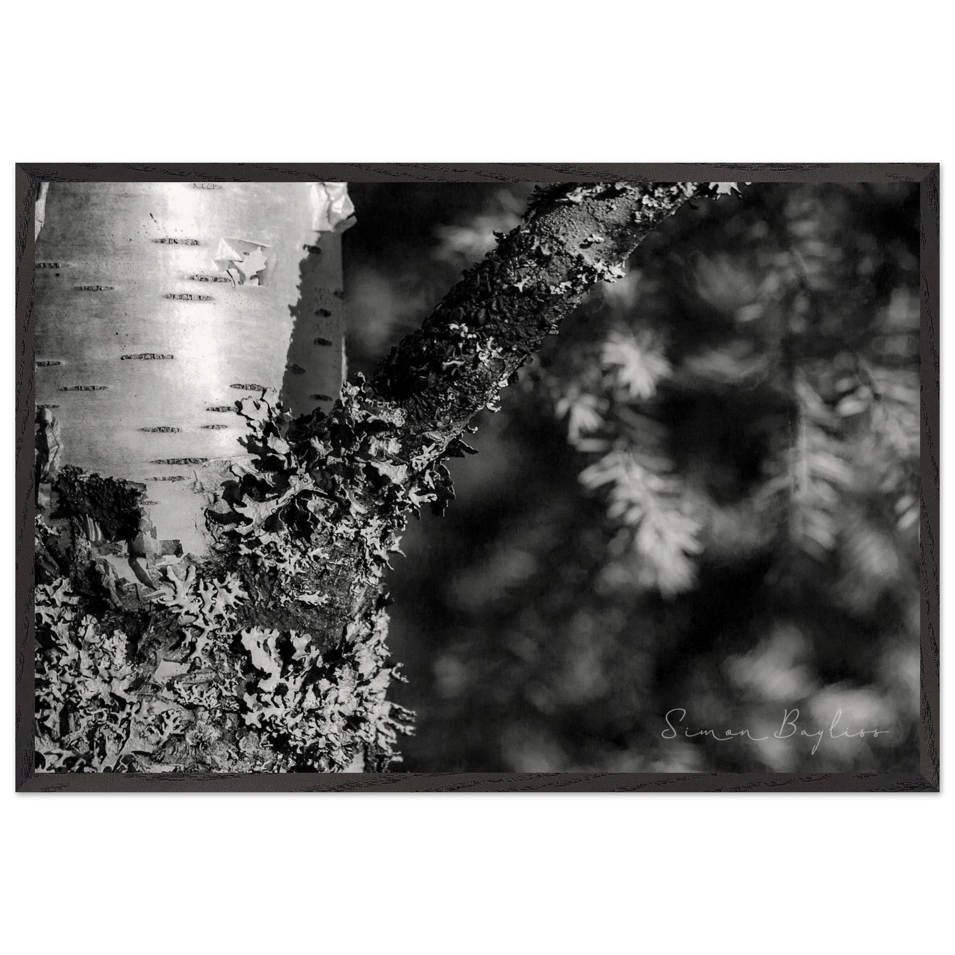 572609c5-177e-4020-b21a-6c0c31e5bdfd