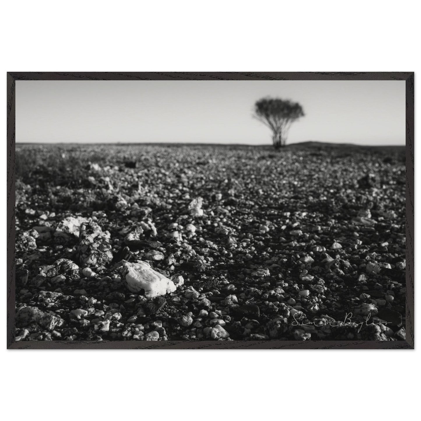 57696380-c689-442e-9460-67b260edc88a