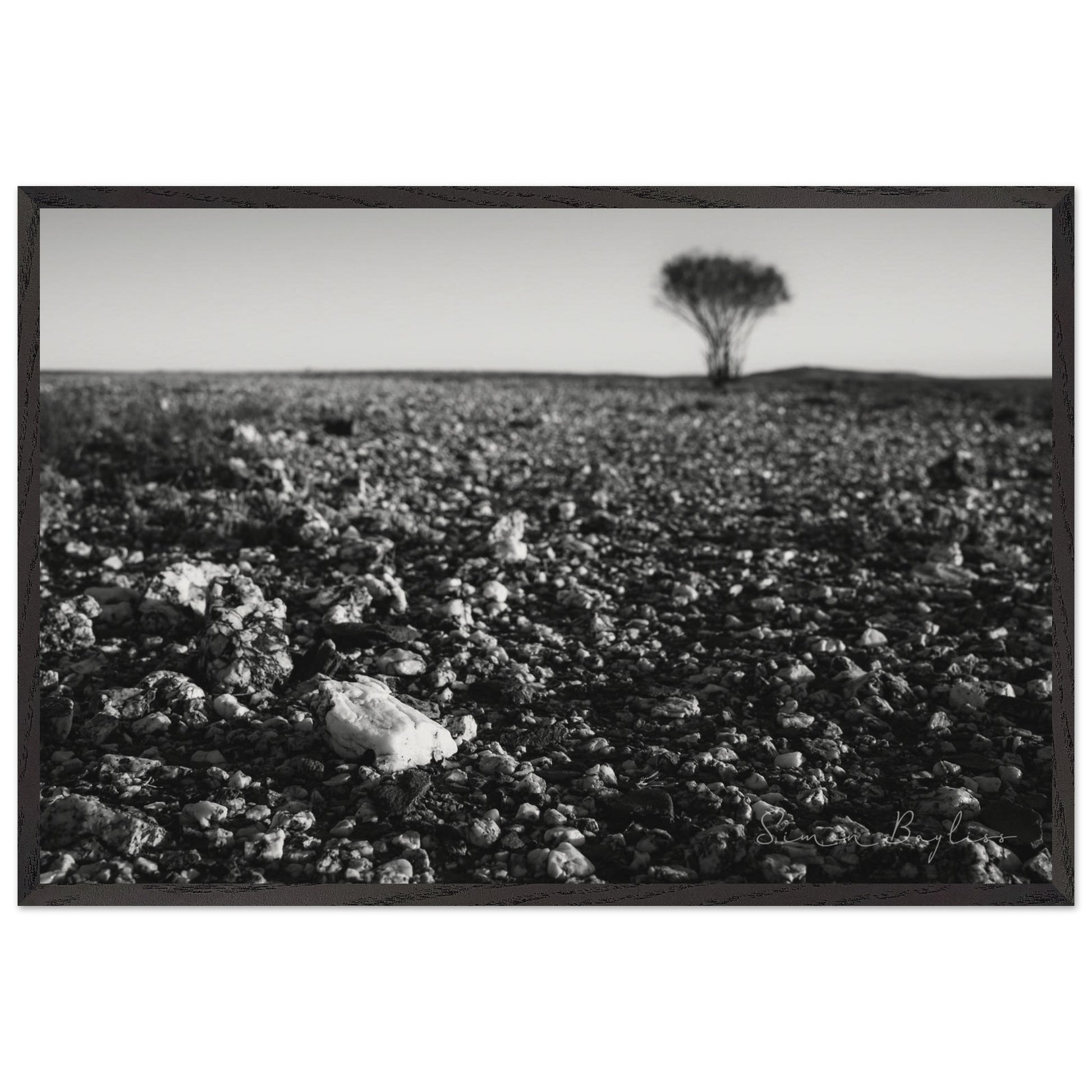 57696380-c689-442e-9460-67b260edc88a