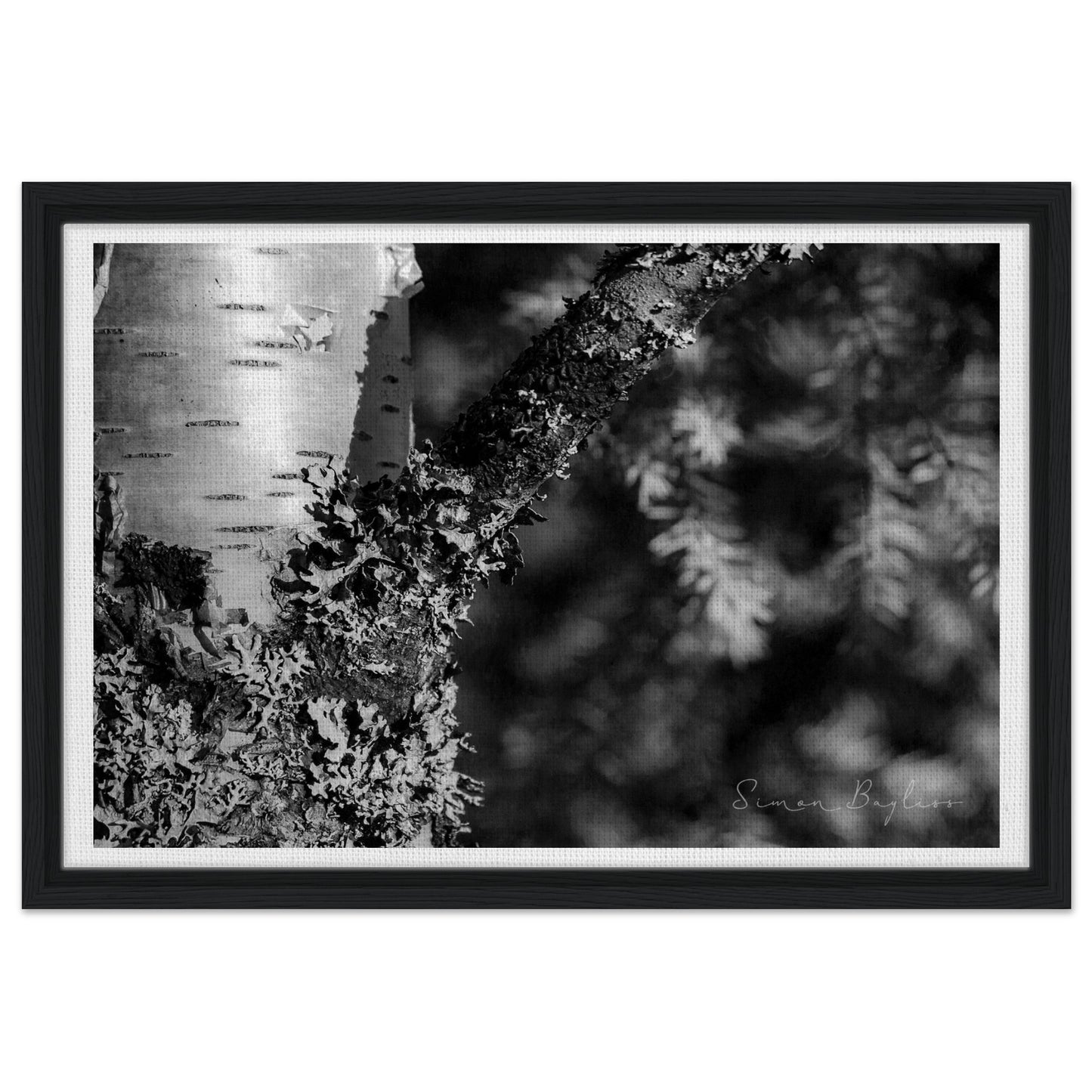 57a851dd-f346-42ba-8439-528eac576495