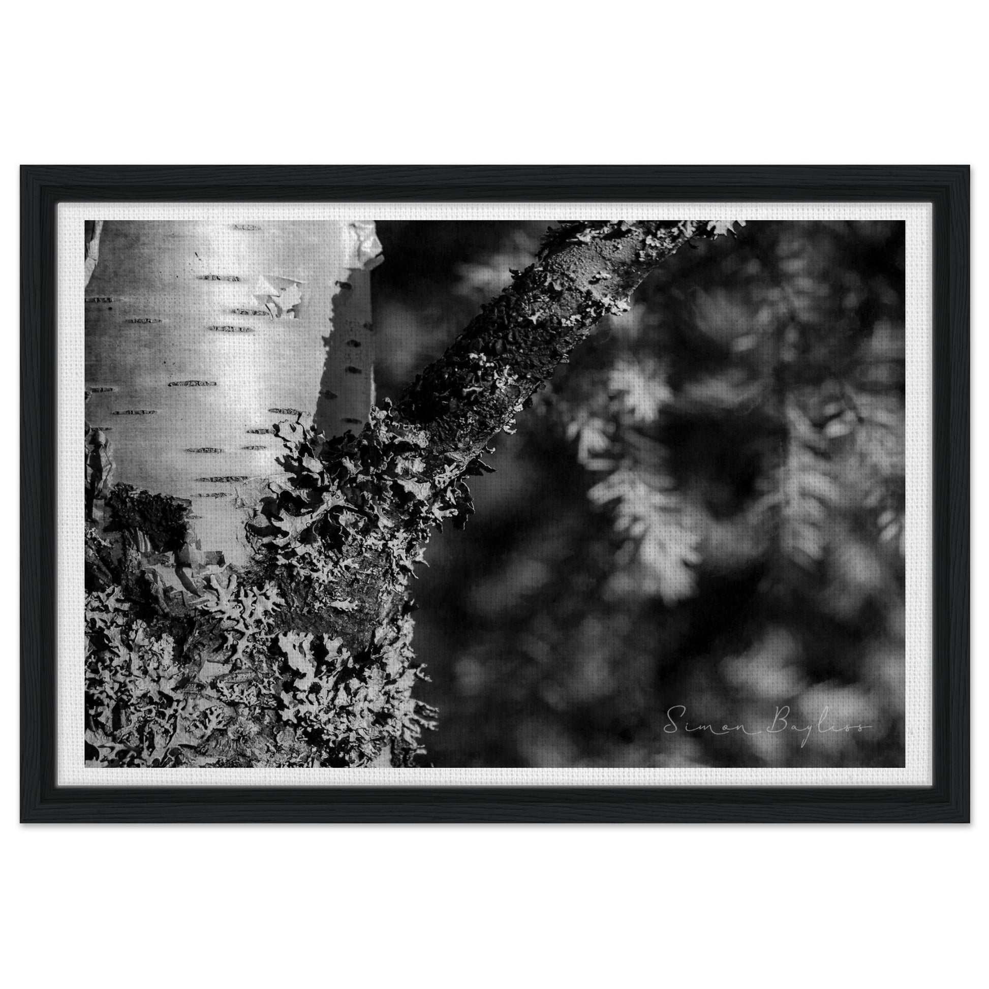 57a851dd-f346-42ba-8439-528eac576495