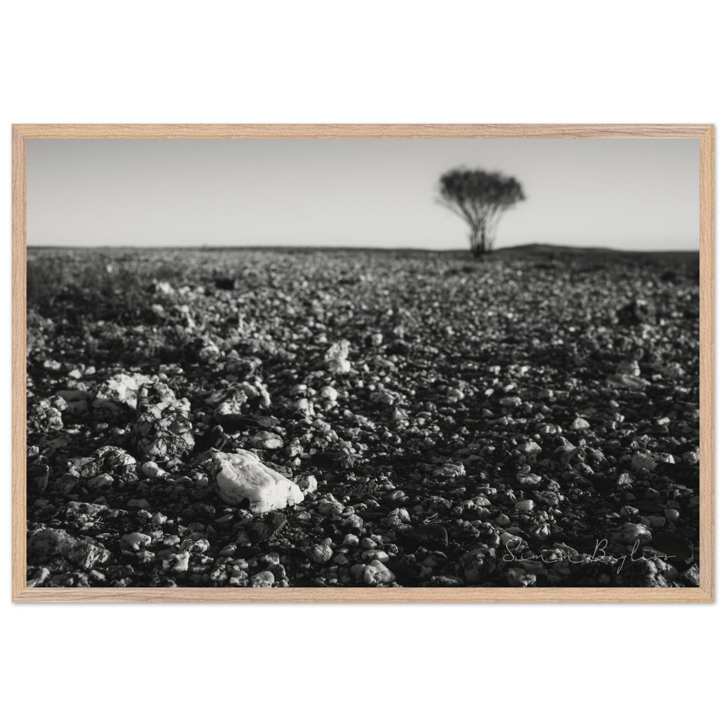 57ac6b6e-664a-42d1-bd00-b99d2b16c3ac