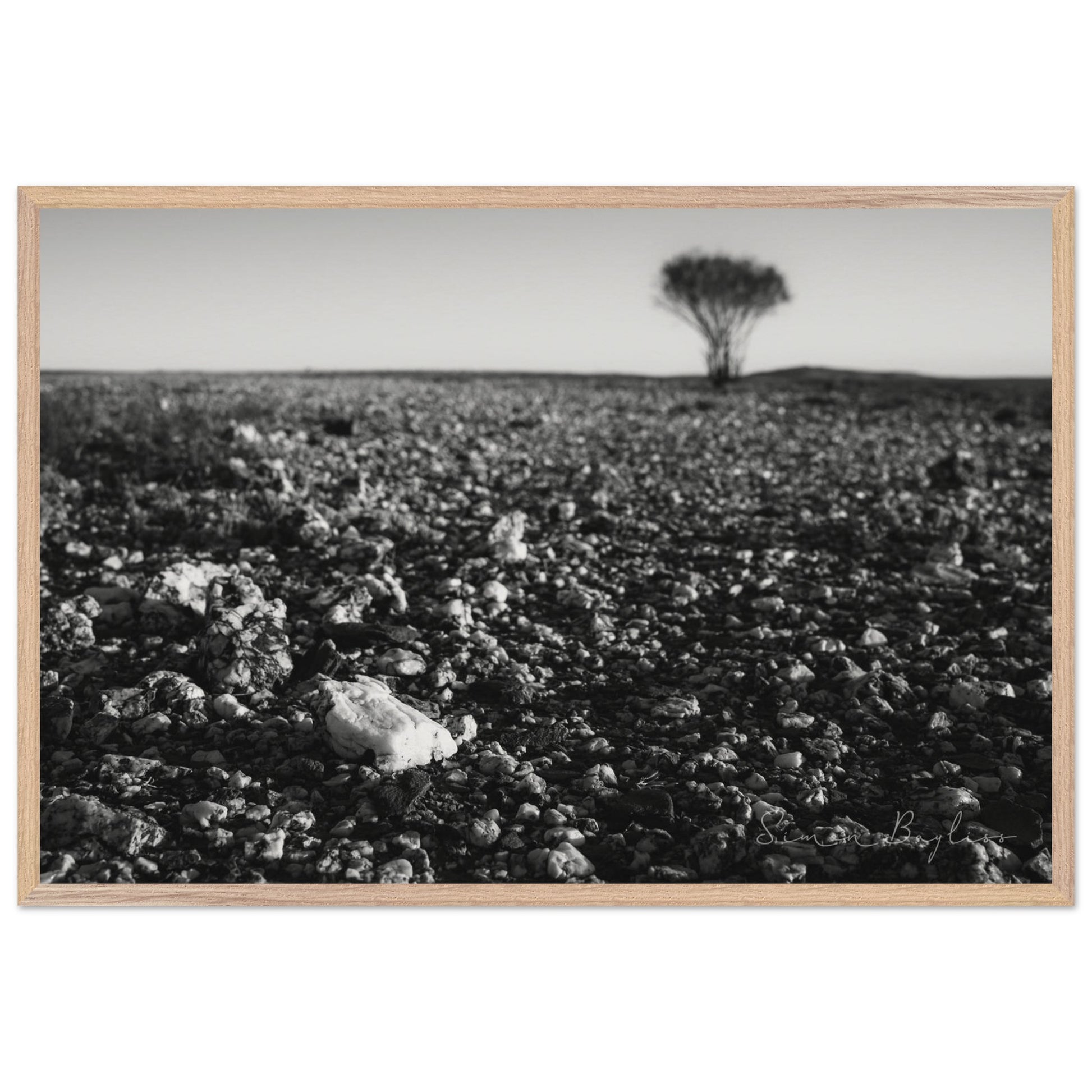 57ac6b6e-664a-42d1-bd00-b99d2b16c3ac