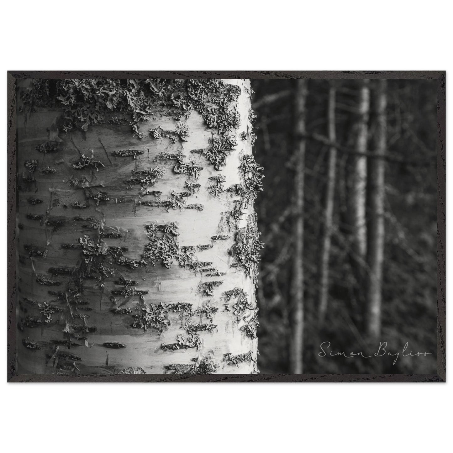 58609fed-4b5b-43c3-87ed-d480451afc1a