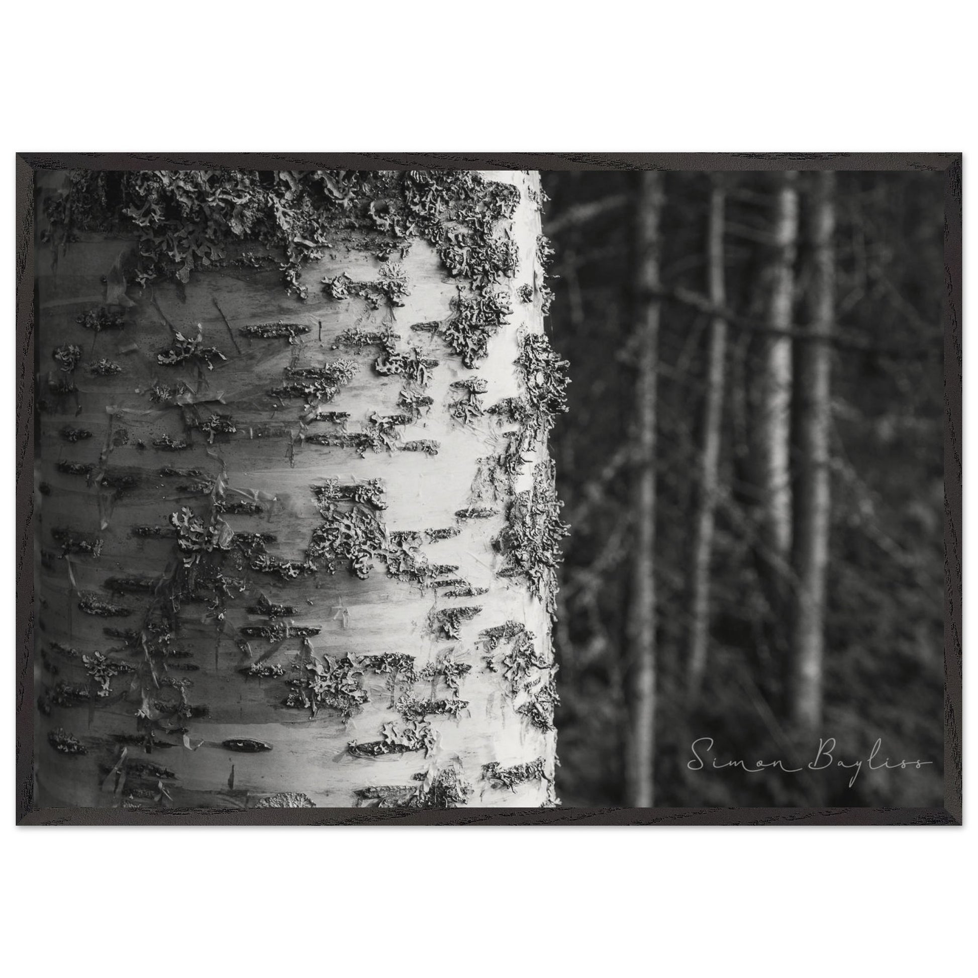 58609fed-4b5b-43c3-87ed-d480451afc1a