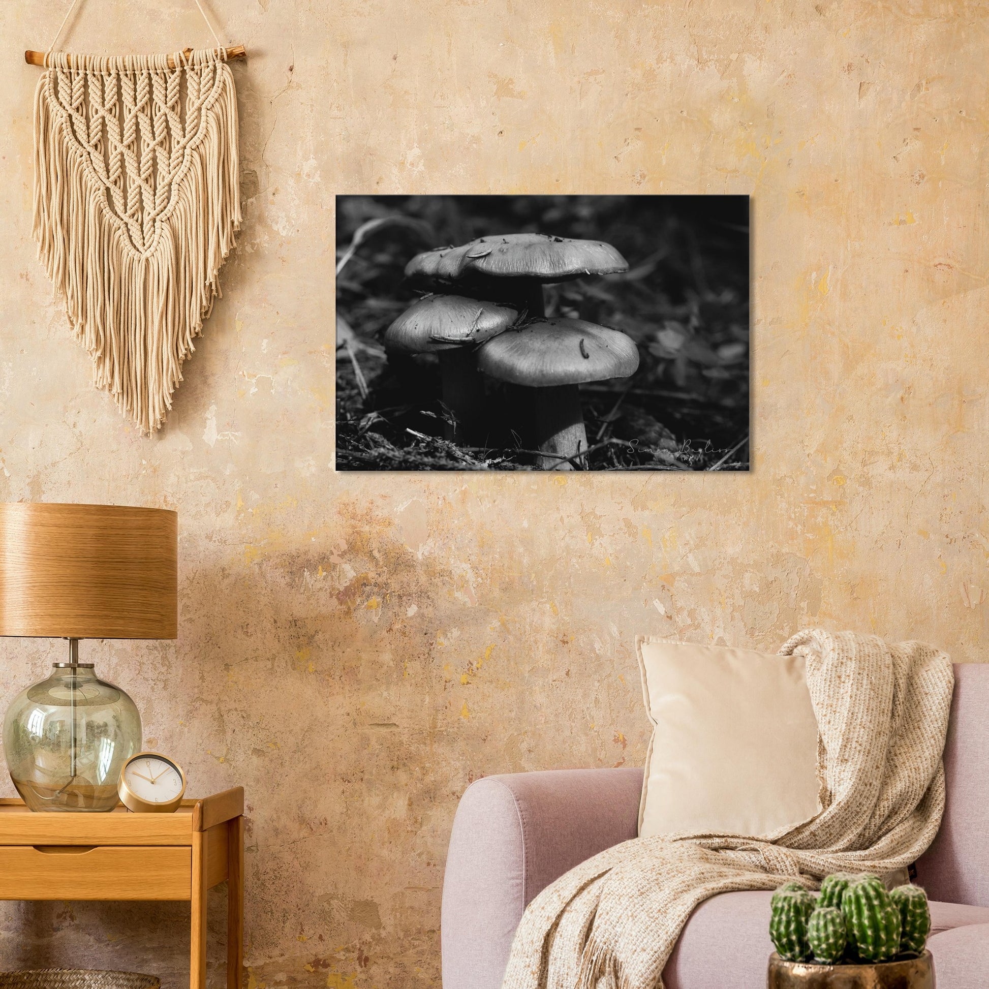 58e6ee8c-7bb8-43f6-ba90-540cce72efe2