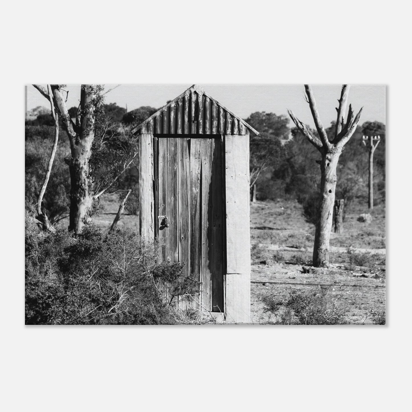 59134287-fab7-4133-8169-5823aacd1e46