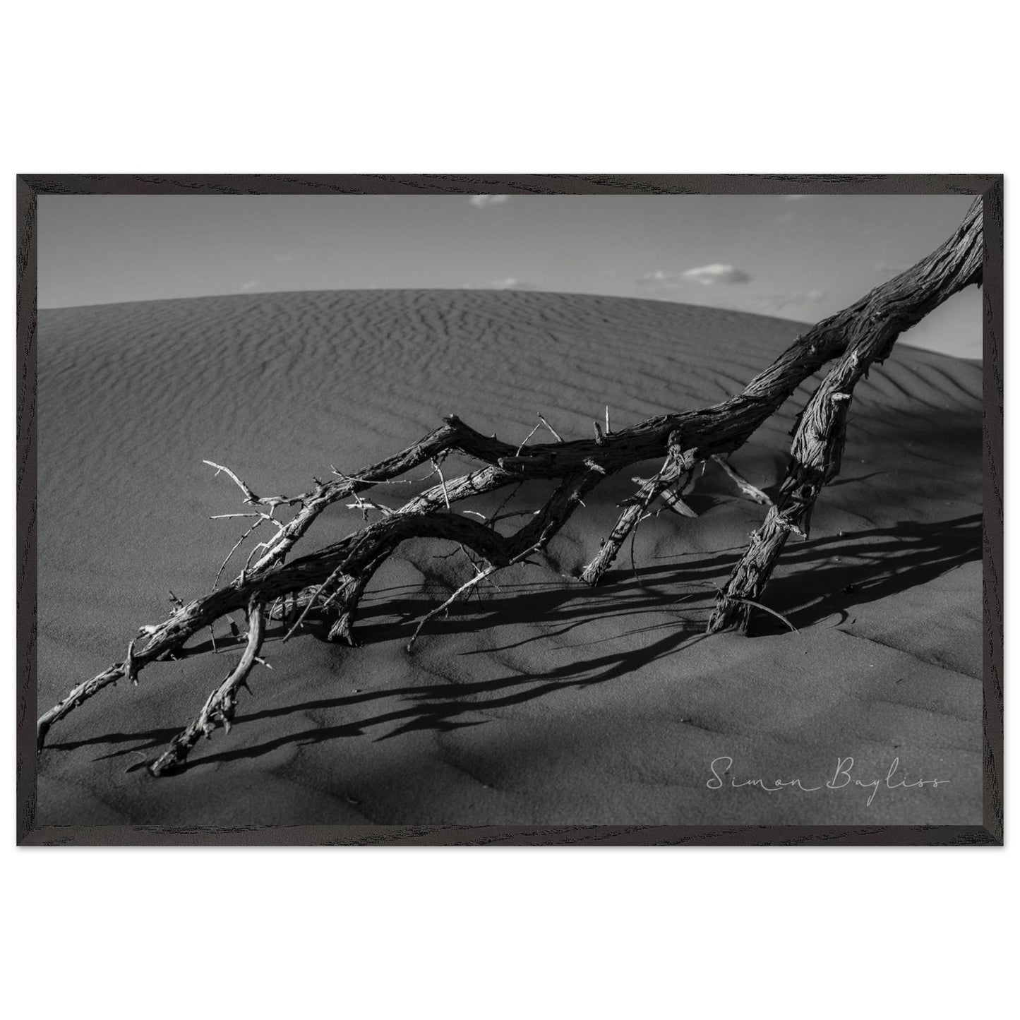 5953af11-d936-4657-934b-3deeb397f7df