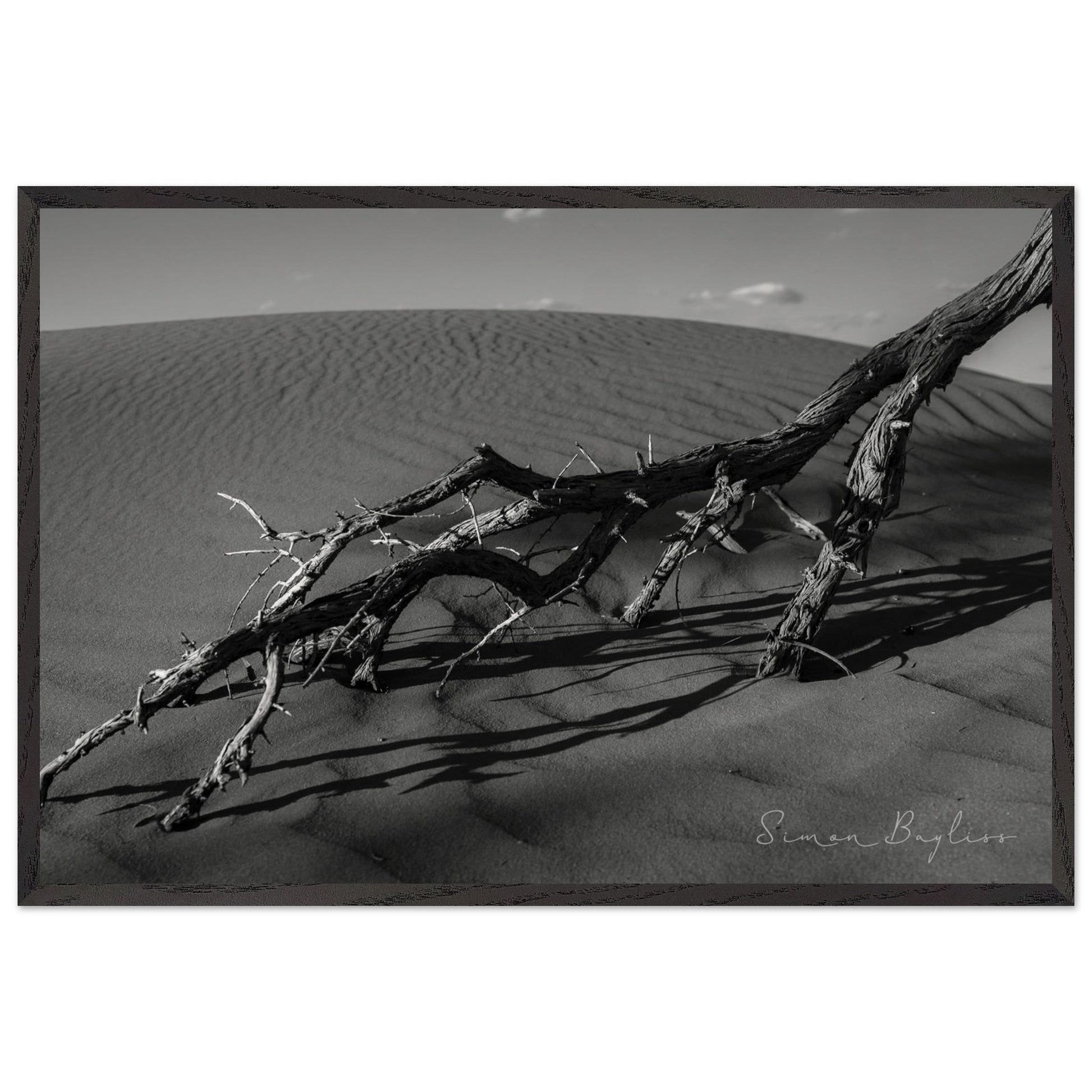 5953af11-d936-4657-934b-3deeb397f7df