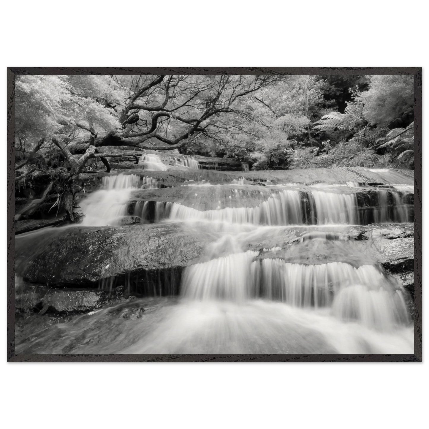 5a3890e6-2c51-49d7-a6b4-65b32ee470d2