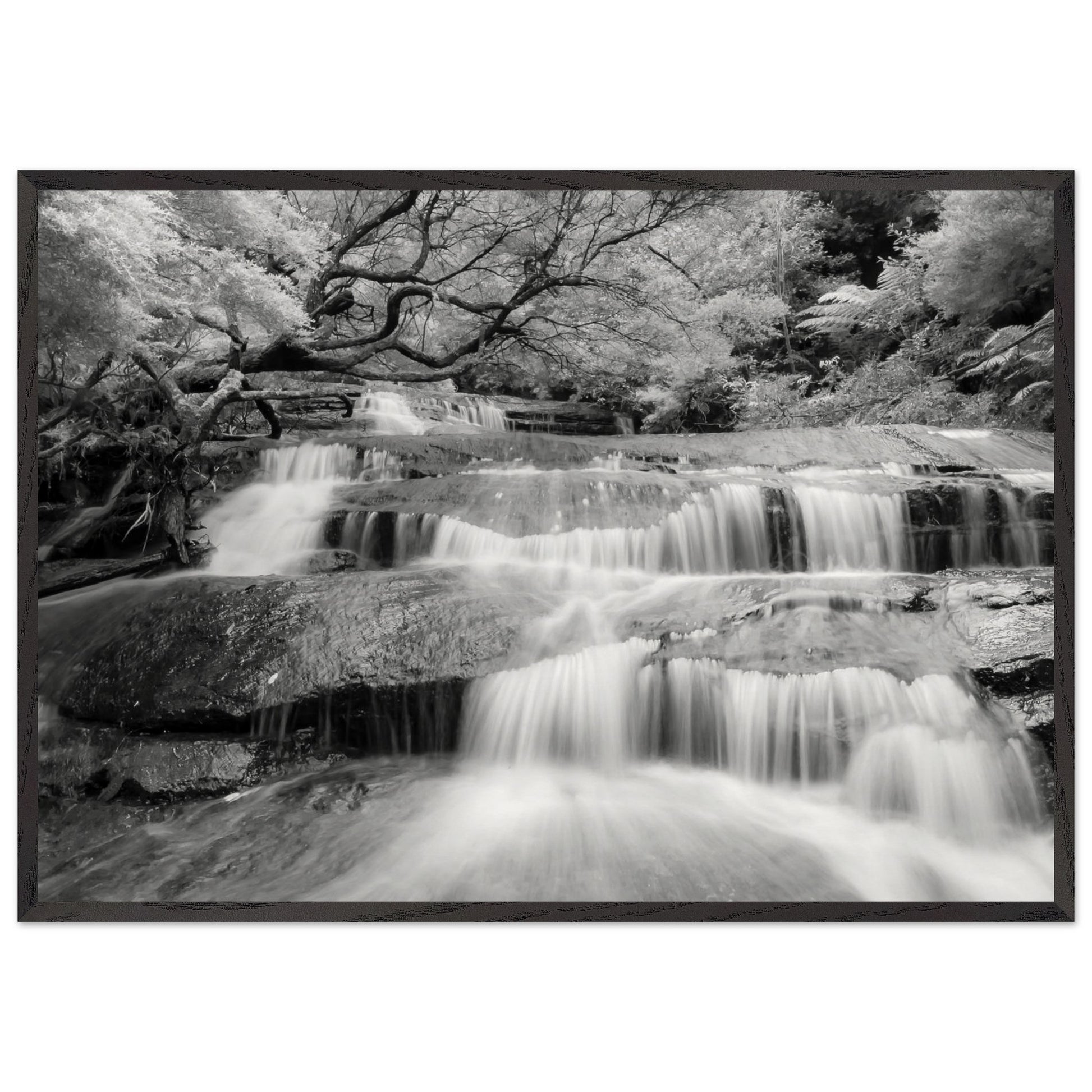 5a3890e6-2c51-49d7-a6b4-65b32ee470d2