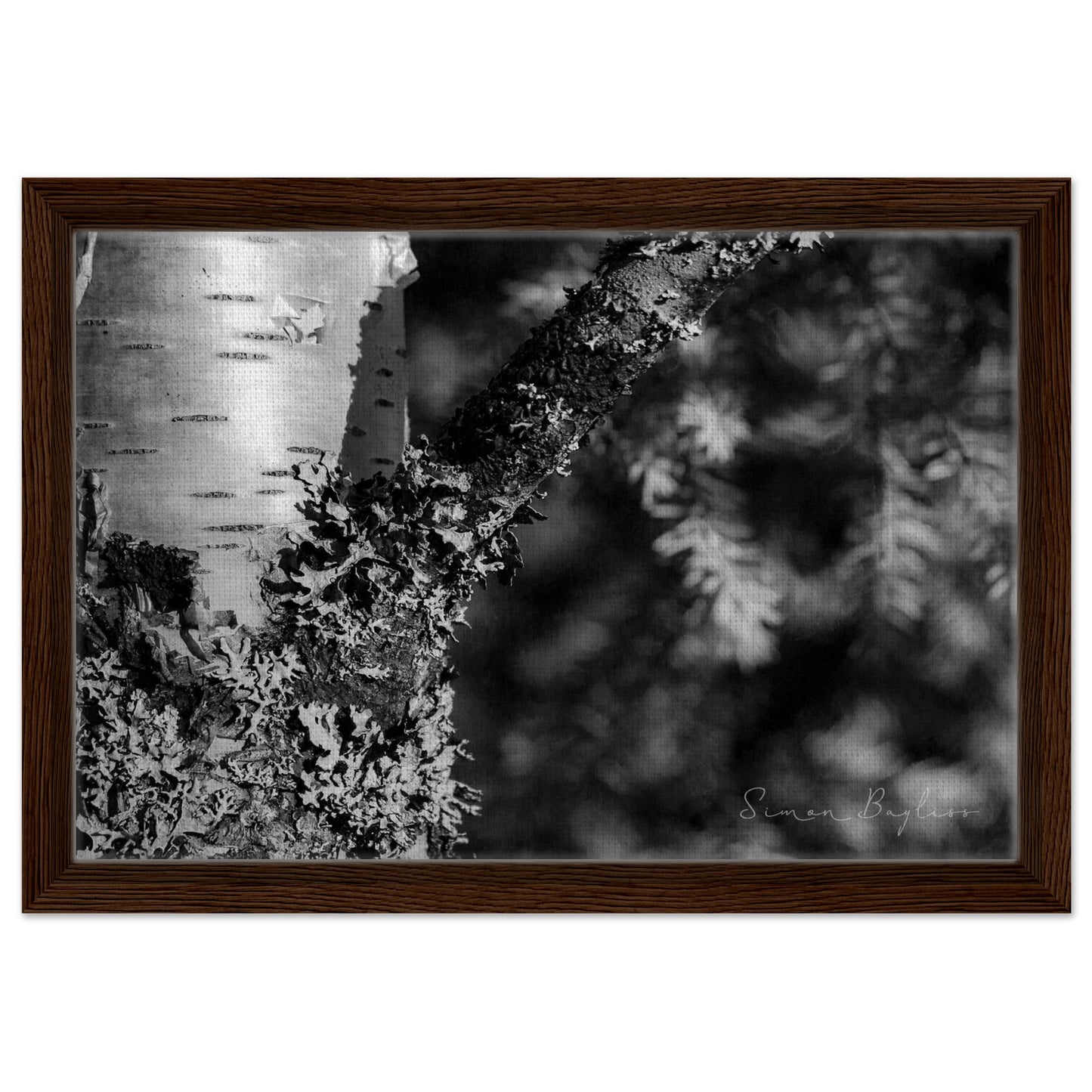 5a71b2c1-44d1-4d85-9ef0-fd9c565a1ced