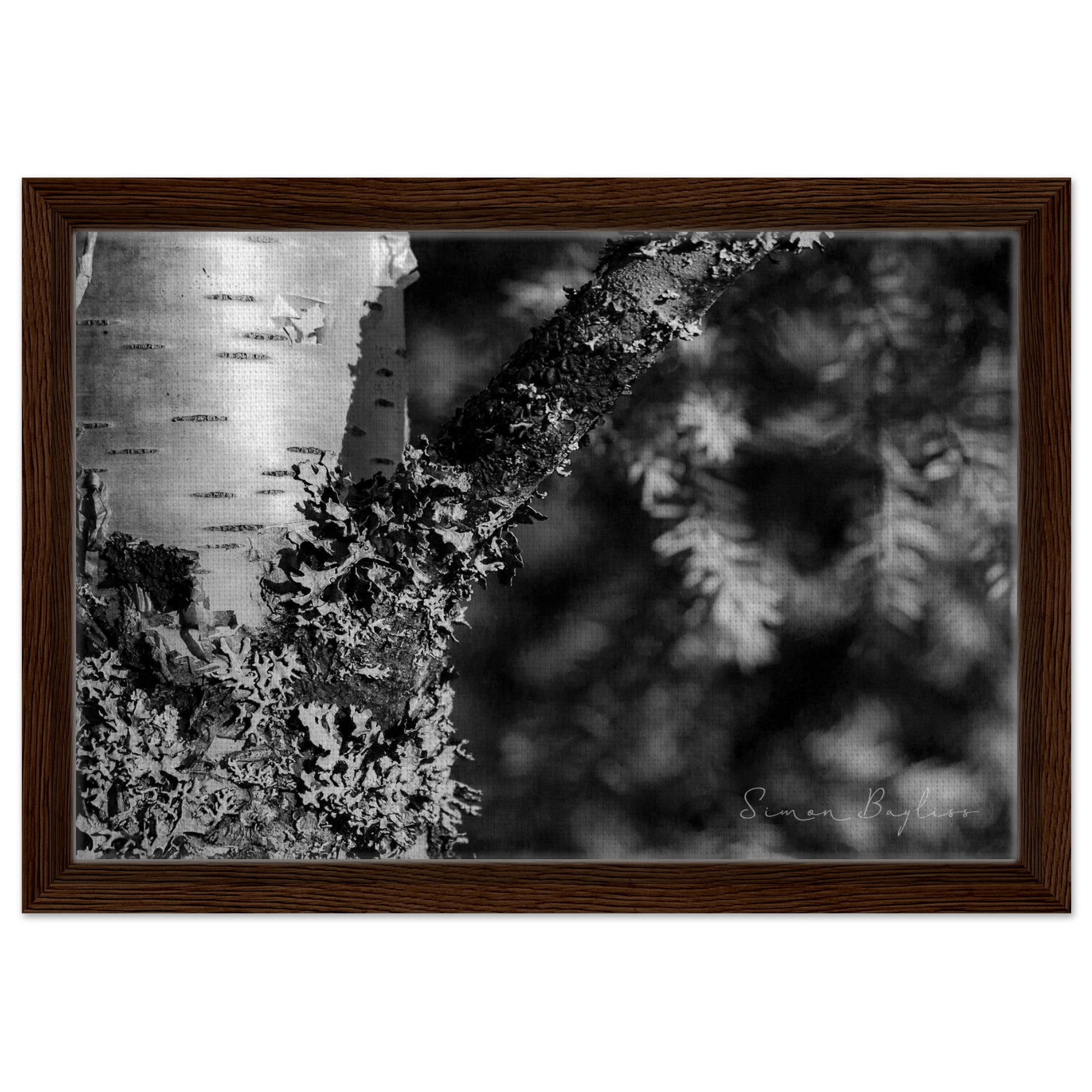 5a71b2c1-44d1-4d85-9ef0-fd9c565a1ced