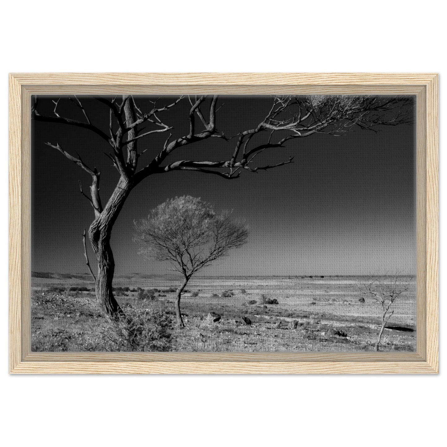 5a88f760-91b3-4855-a7b3-9d41830c4314