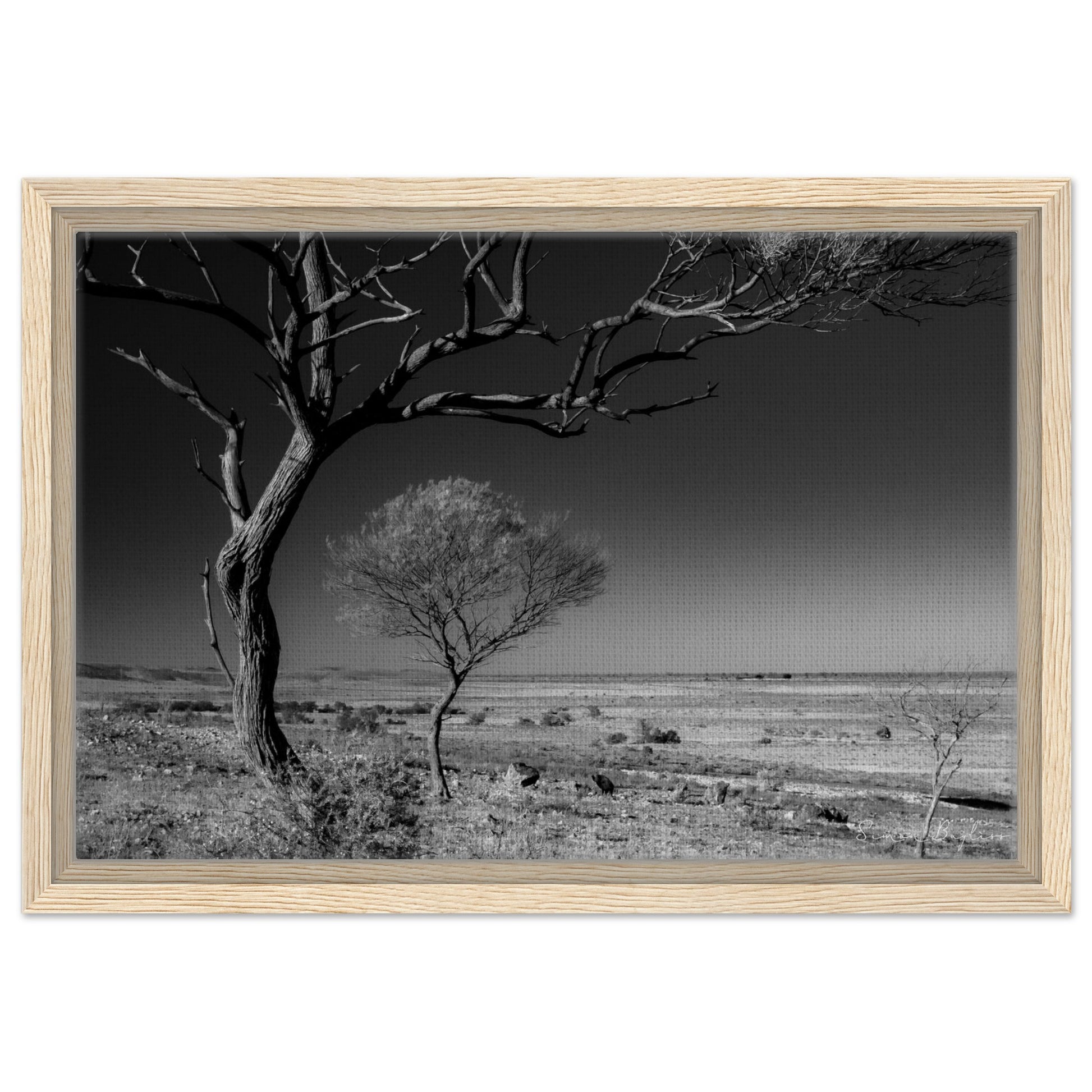 5a88f760-91b3-4855-a7b3-9d41830c4314