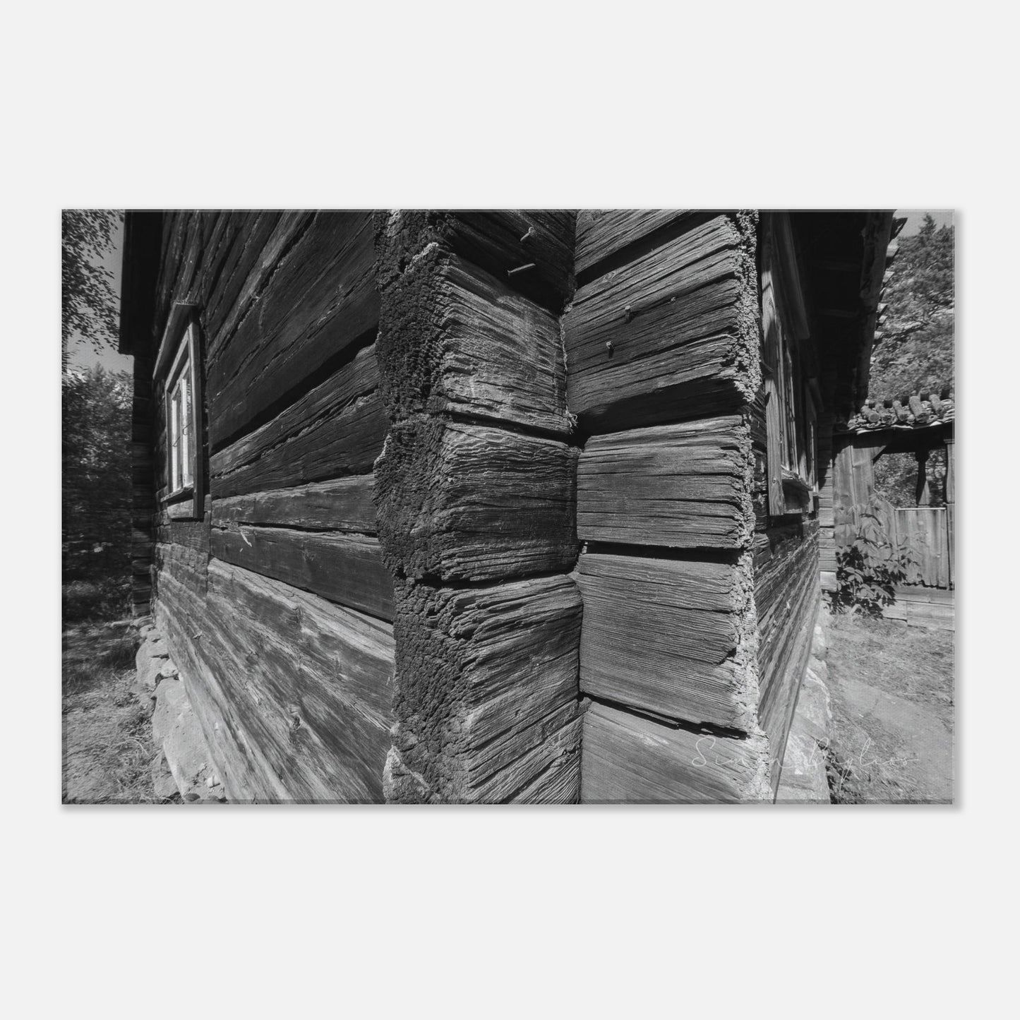 5adee5fb-6d74-4903-a2d0-bebf4a3b7665