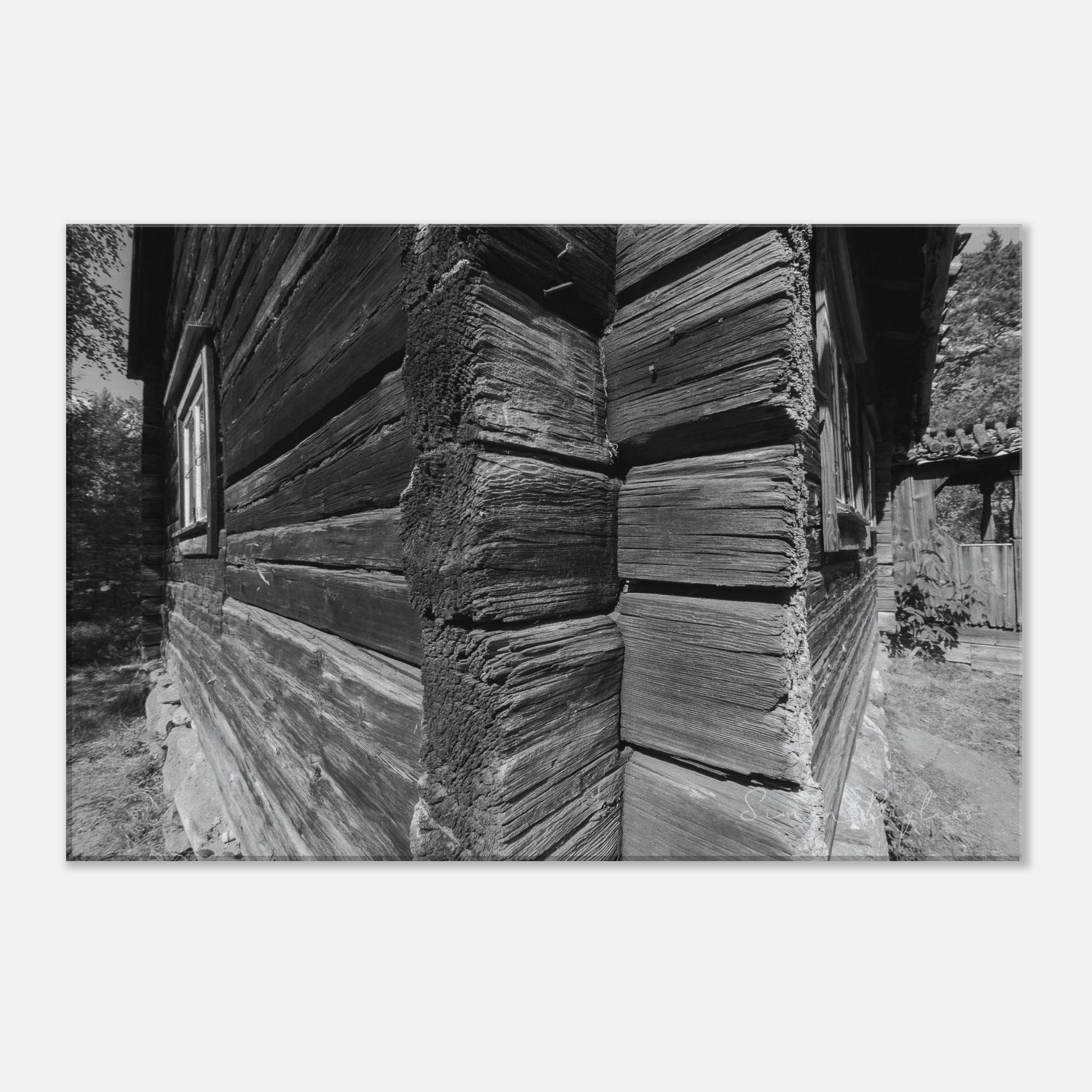 5adee5fb-6d74-4903-a2d0-bebf4a3b7665