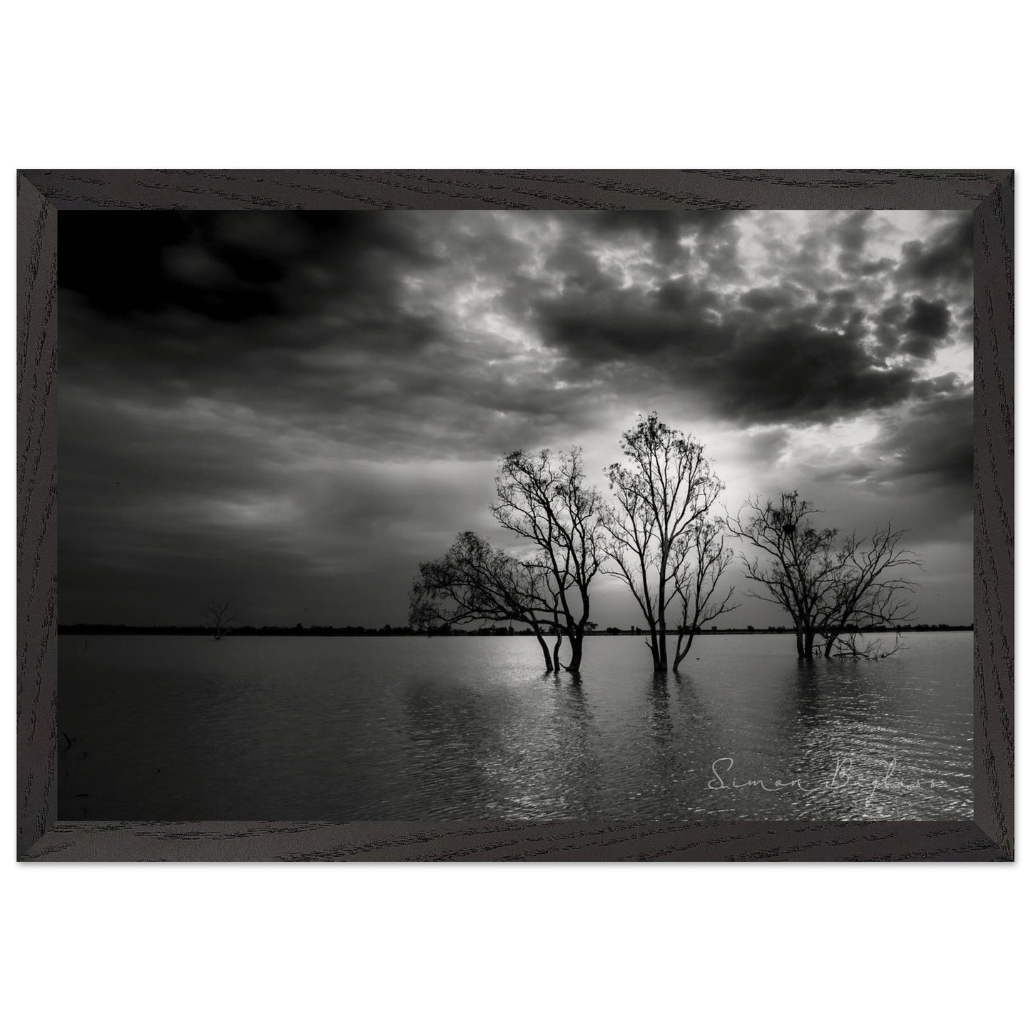 5b147a42-c44f-4325-a907-002bc37f0fad