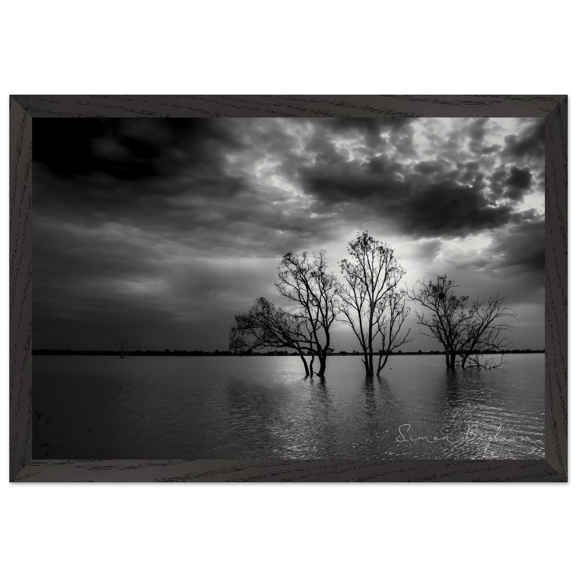 5b147a42-c44f-4325-a907-002bc37f0fad