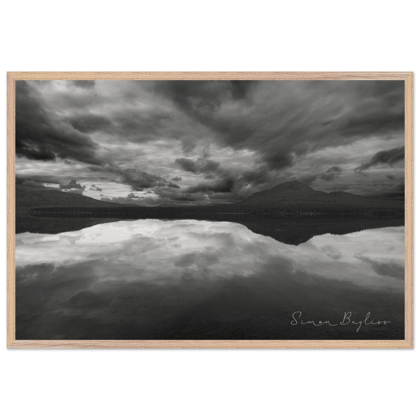 5b14ddb5-22dd-41dd-9c81-f2523559fef4