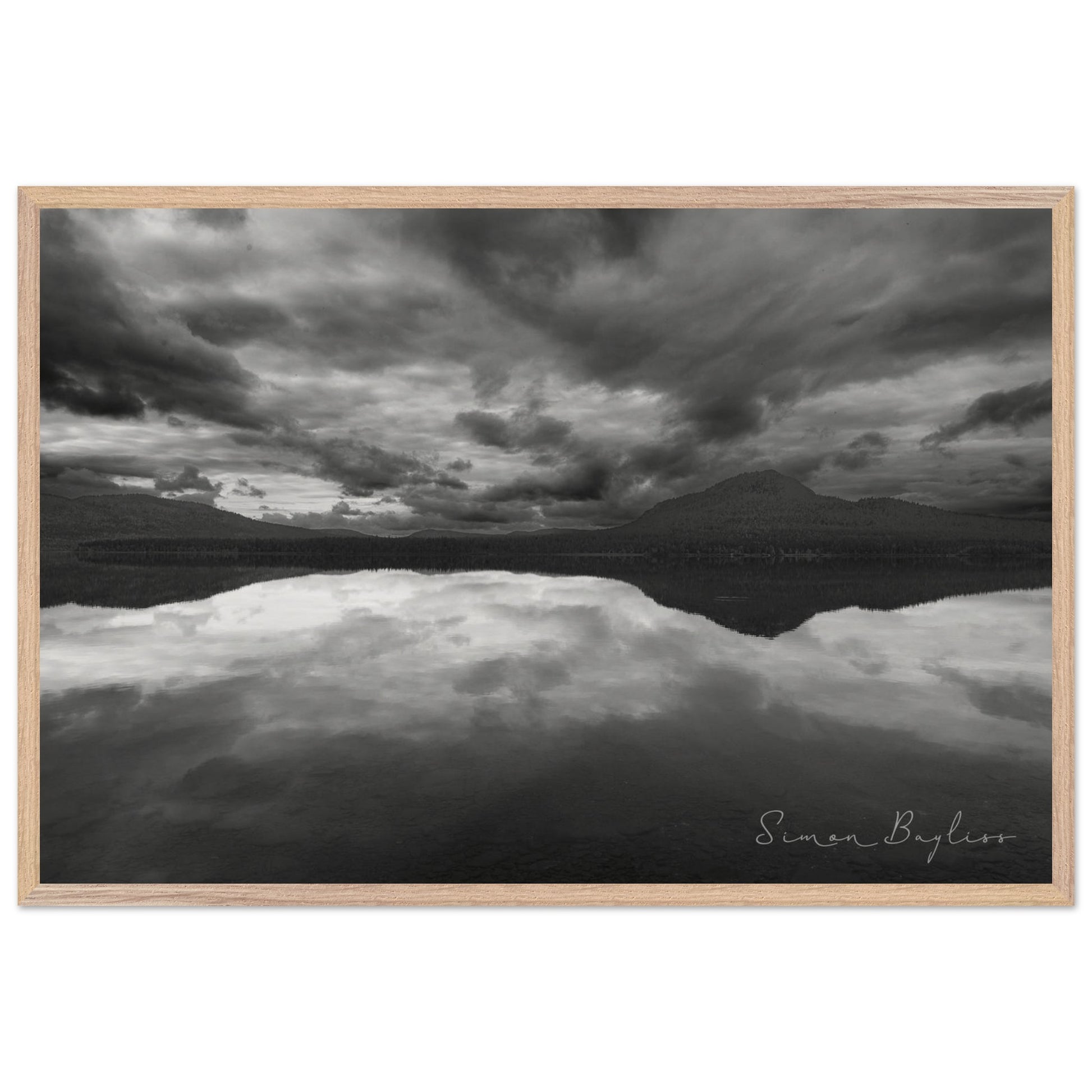 5b14ddb5-22dd-41dd-9c81-f2523559fef4