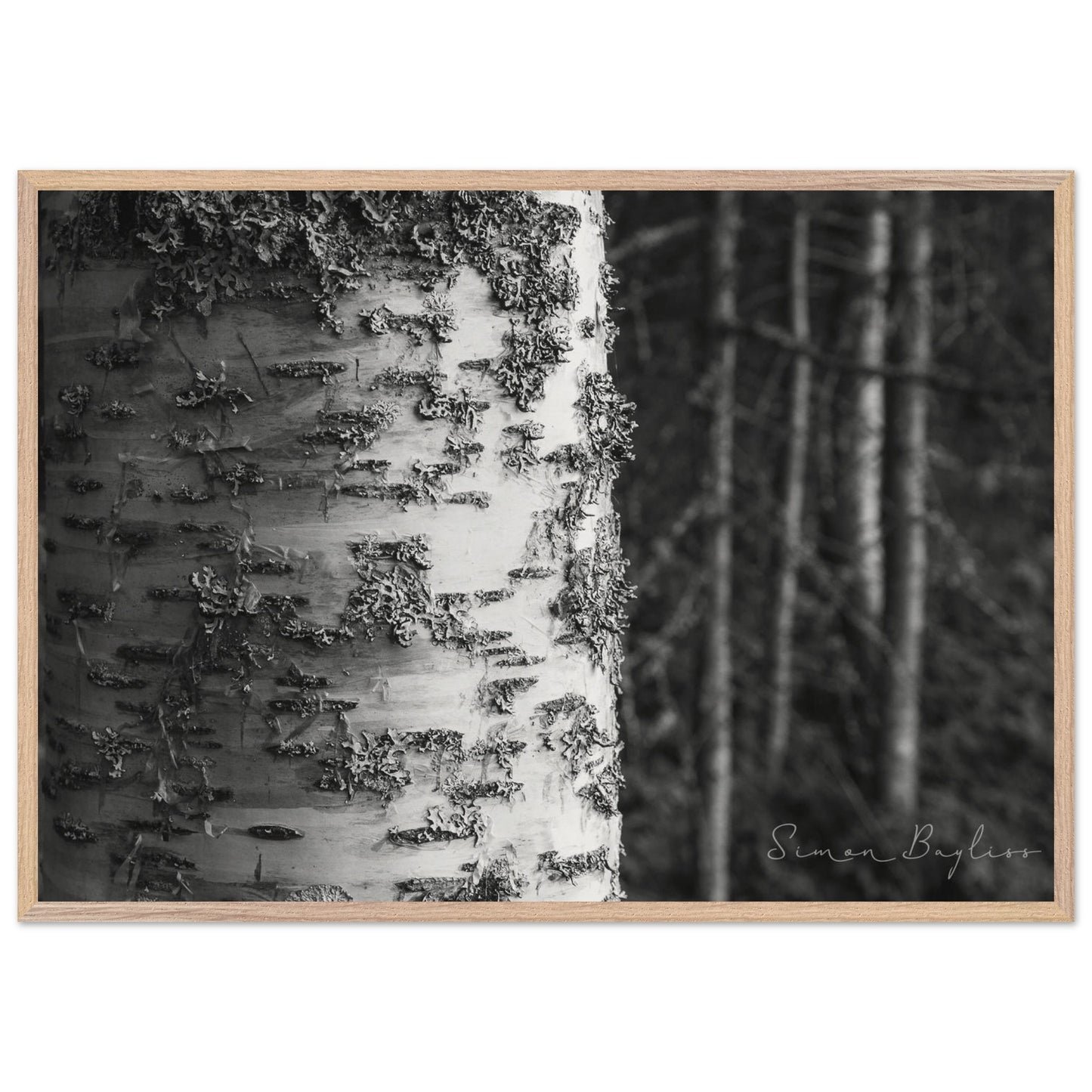 5b24441a-b443-42e2-9168-9a3d145d93eb