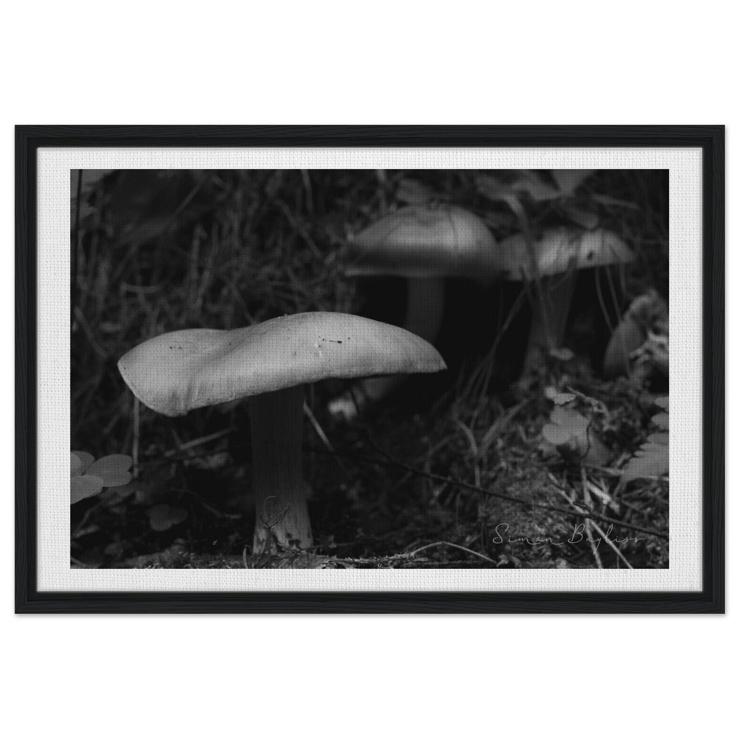 5bfb33aa-7a0e-4c6e-b8aa-4013963d5a48