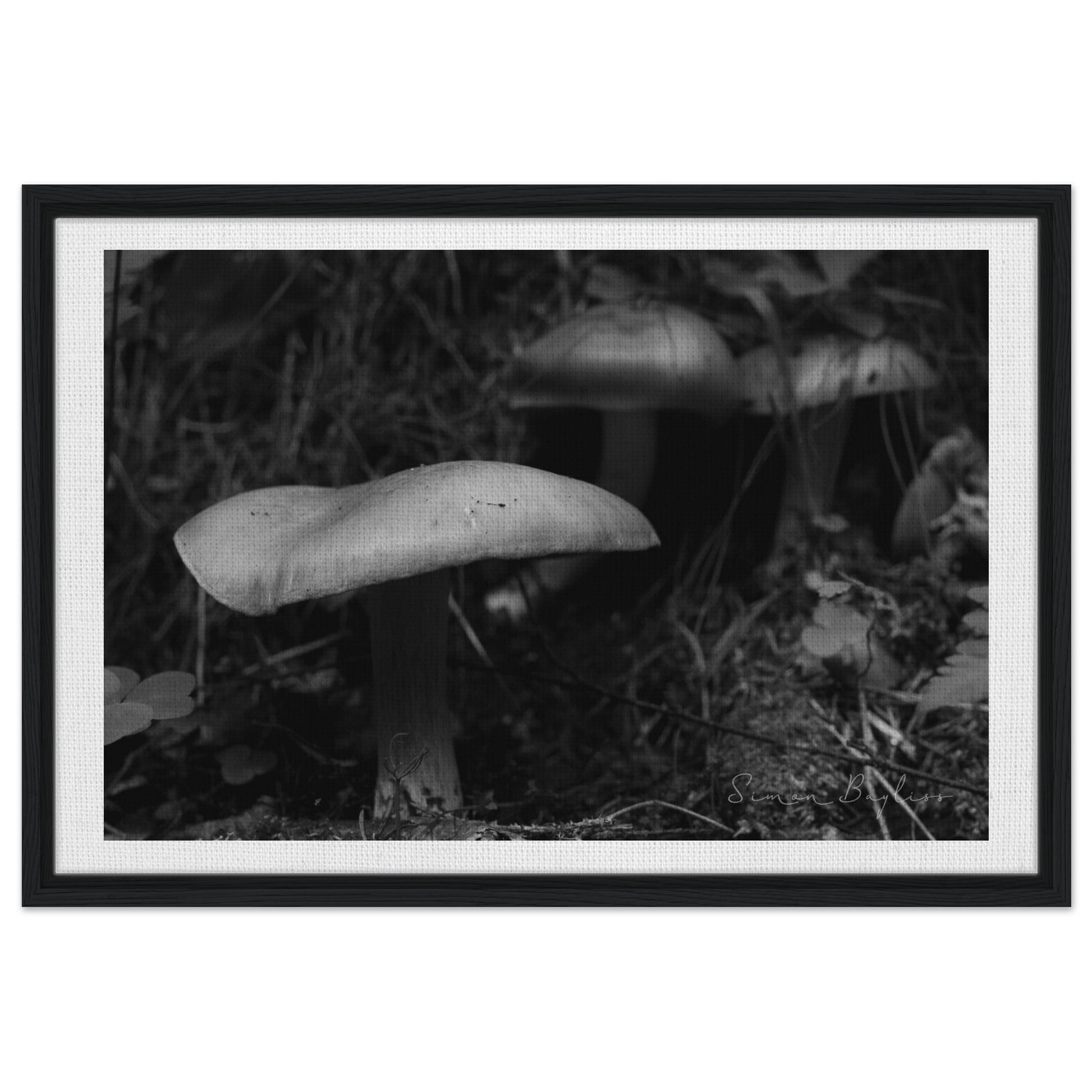 5bfb33aa-7a0e-4c6e-b8aa-4013963d5a48