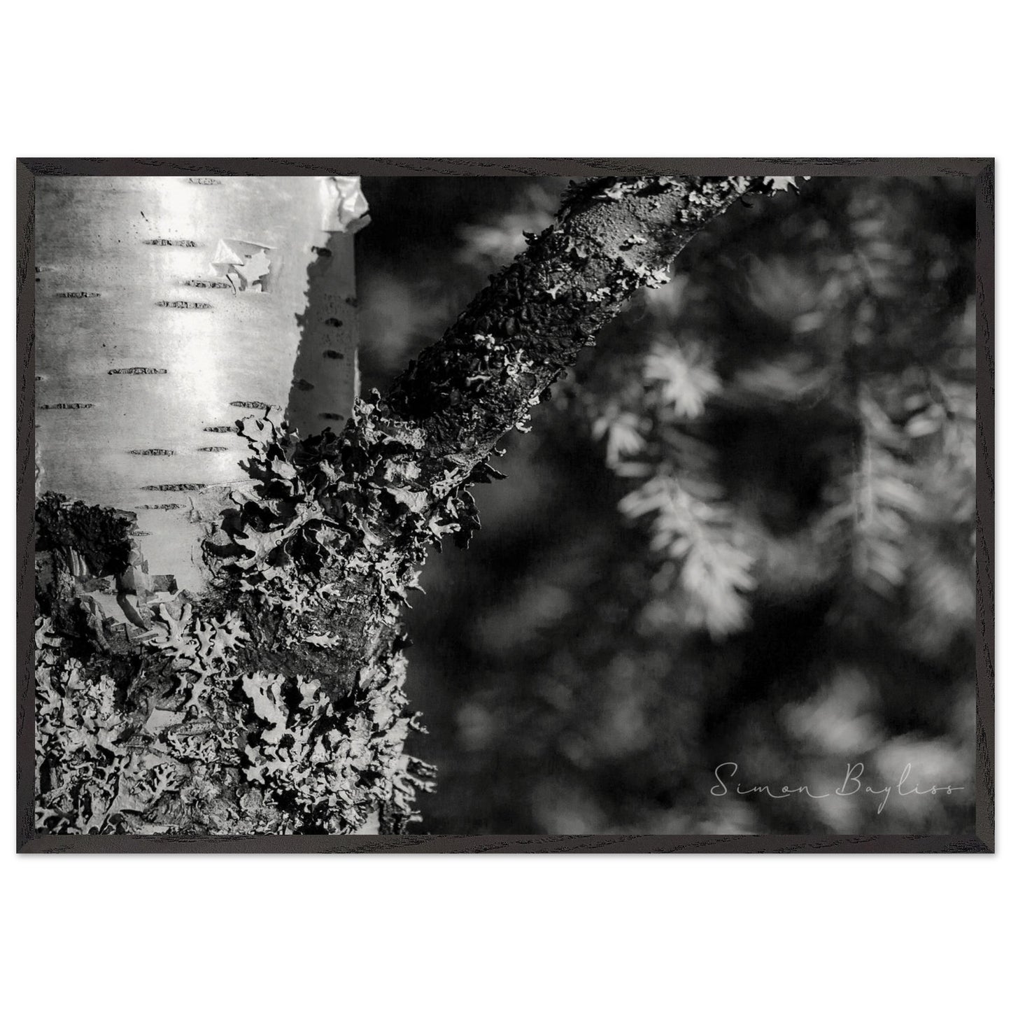 5bfed9a7-9887-498f-befd-6cde552dc777