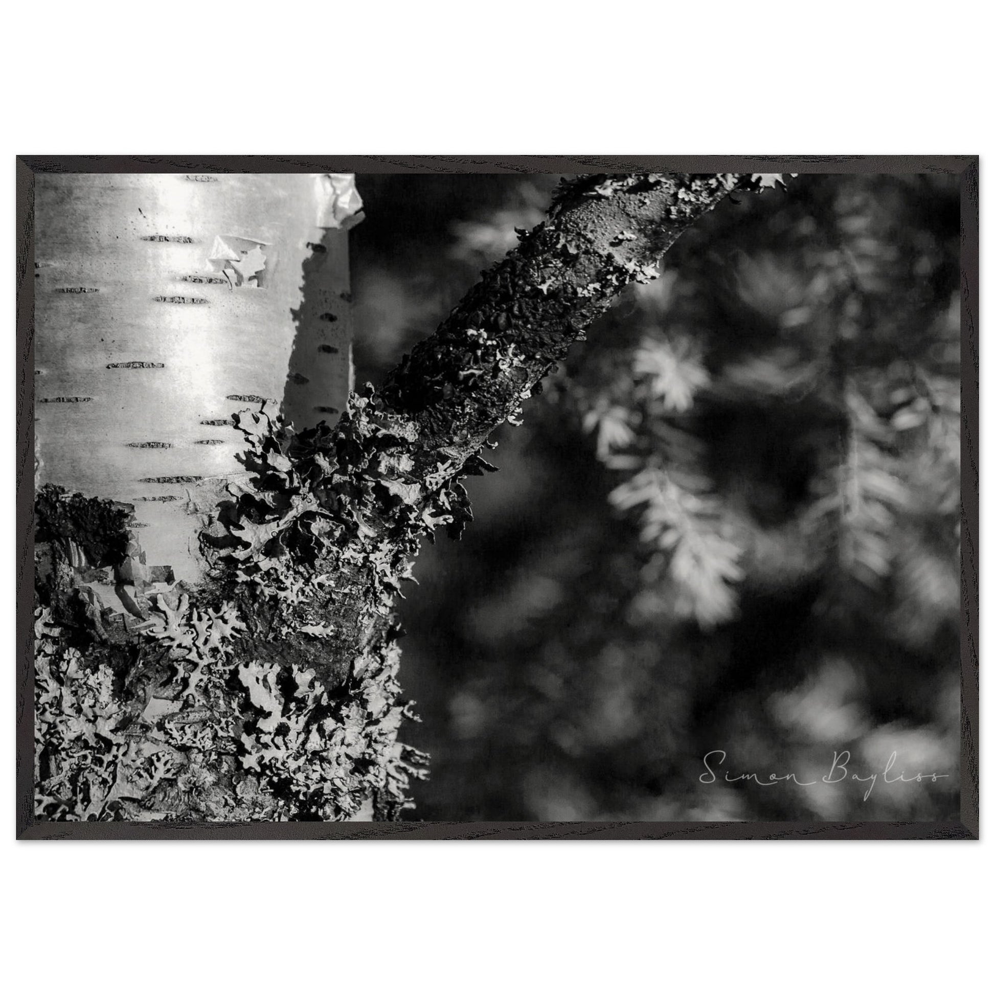 5bfed9a7-9887-498f-befd-6cde552dc777