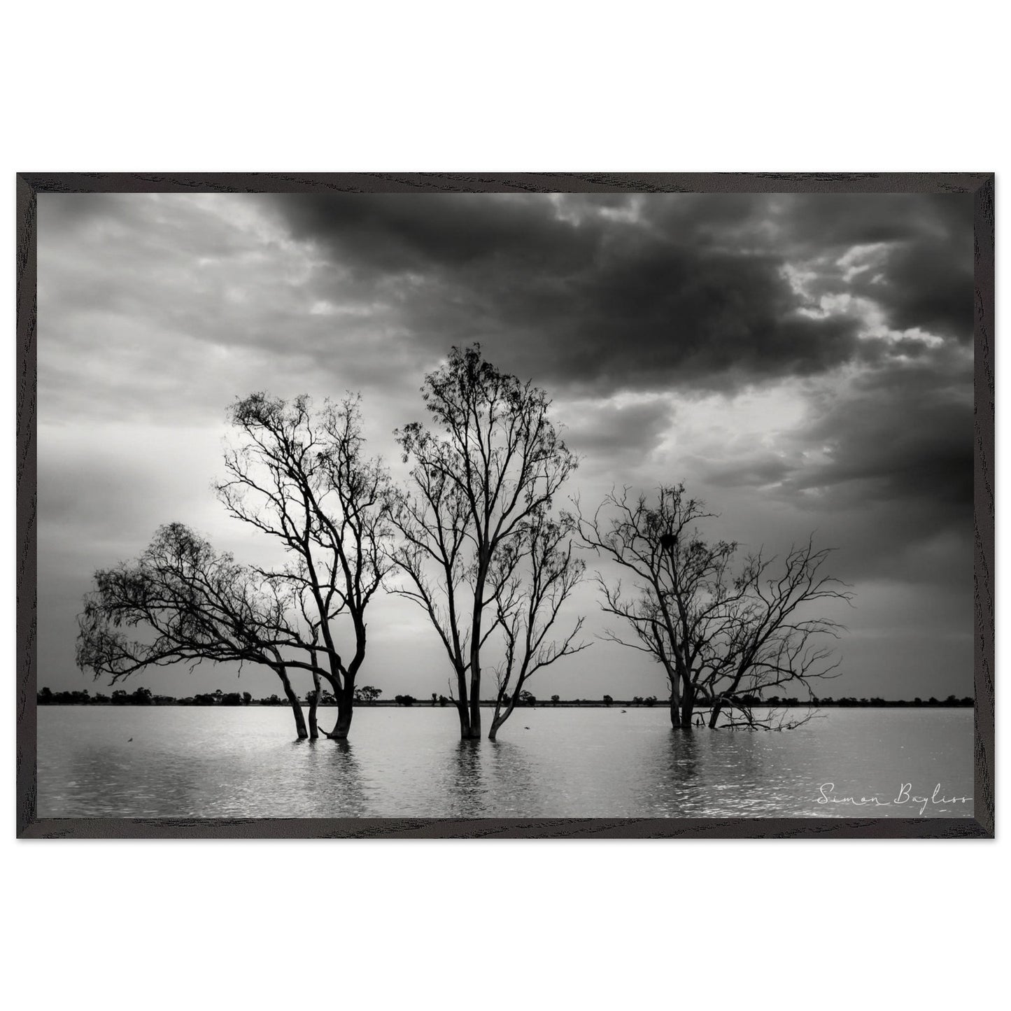 5c28d095-2035-478a-b2ca-4fecf010eb17