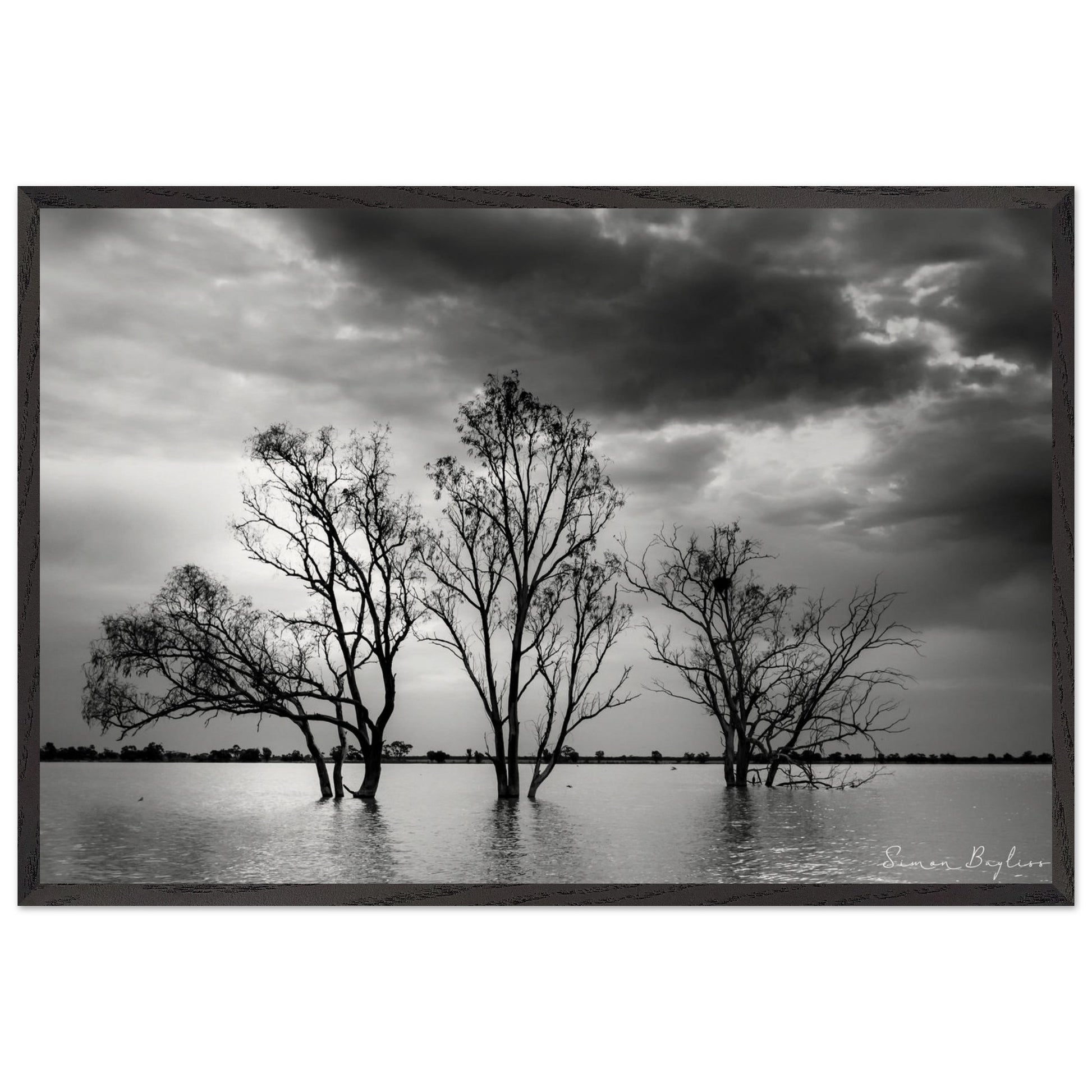 5c28d095-2035-478a-b2ca-4fecf010eb17