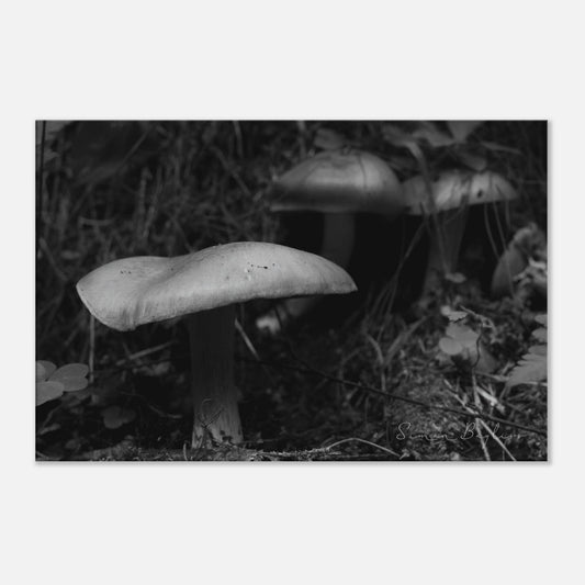 5c2dfb88-dc7d-4e11-9a93-ab5e486ee287