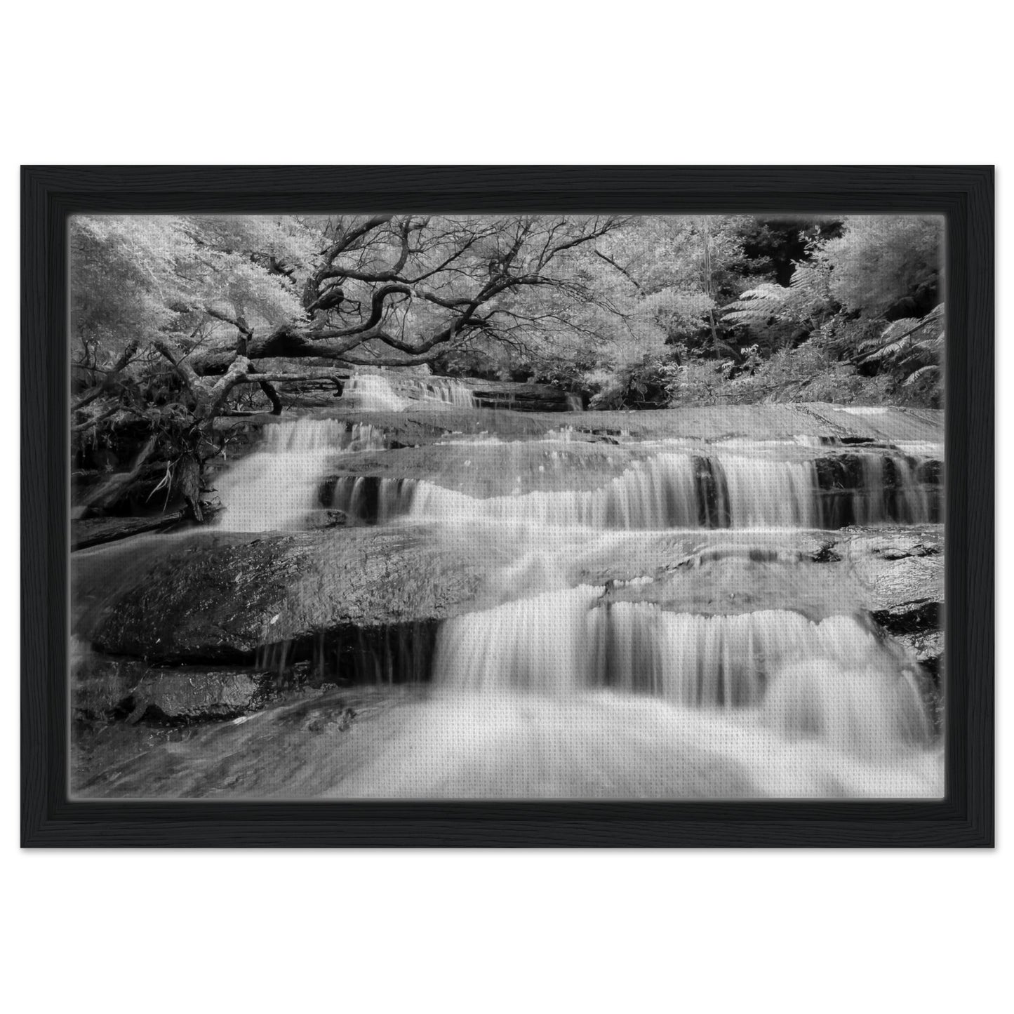 5d825b88-508d-4ee6-9ef0-7af78778fd7a