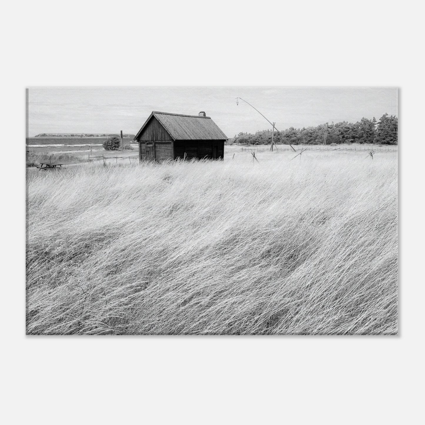 5e0a29de-df2c-4914-9482-504c7c7265c7