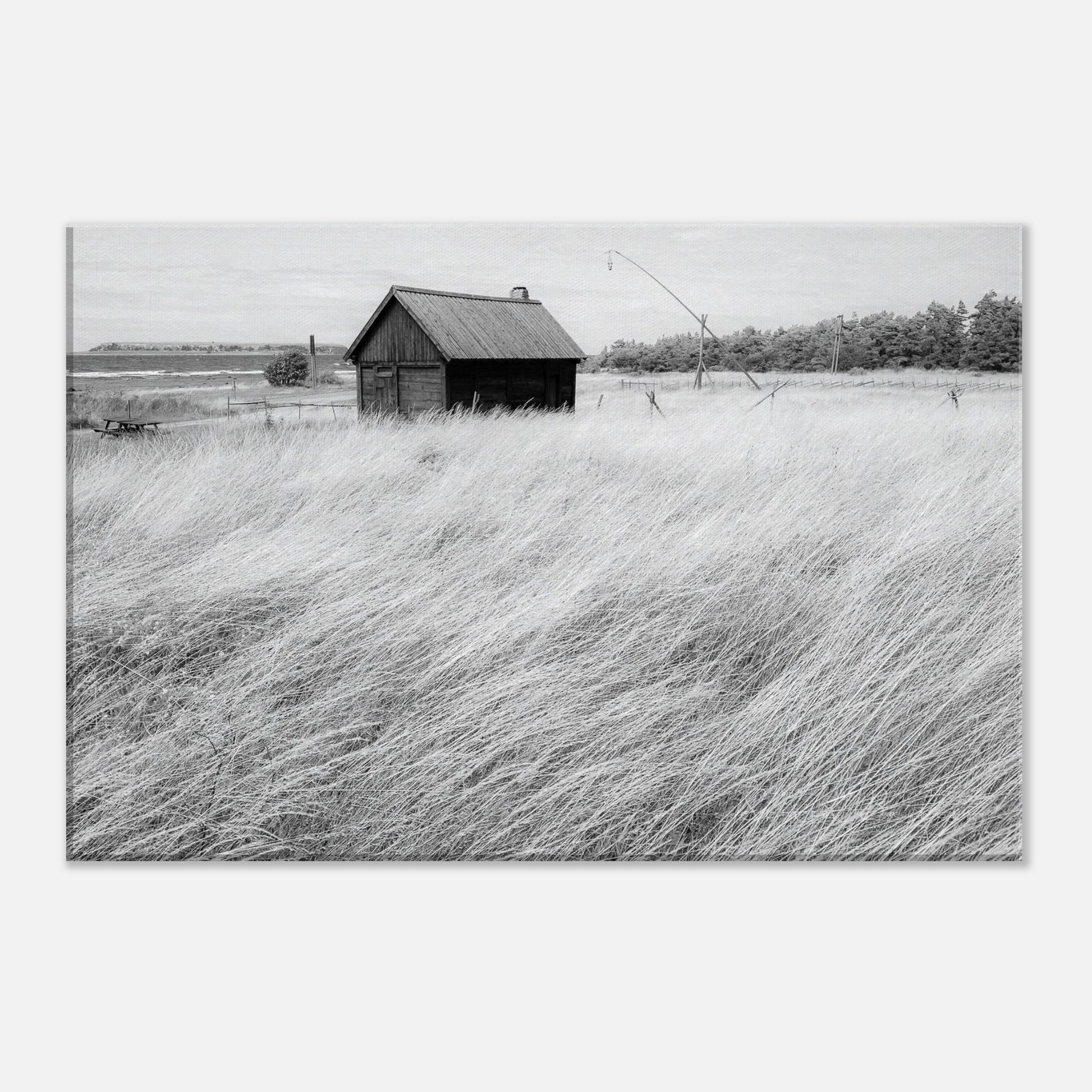 5e0a29de-df2c-4914-9482-504c7c7265c7