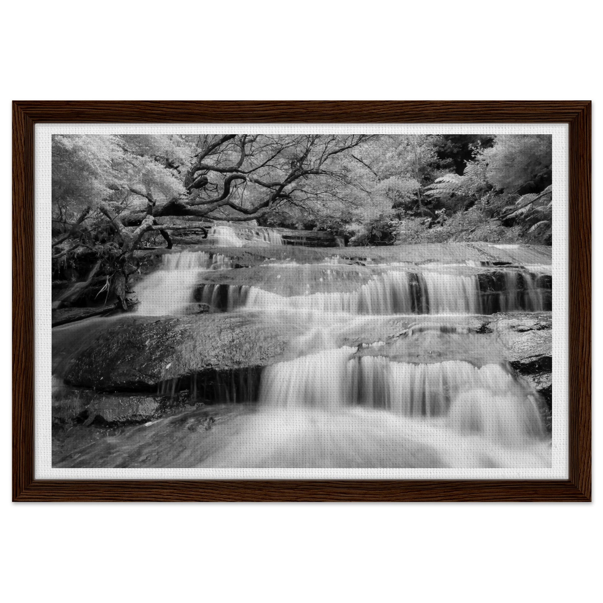 5e68cd9b-6c5b-4b8b-9f3f-bd6606f018a8