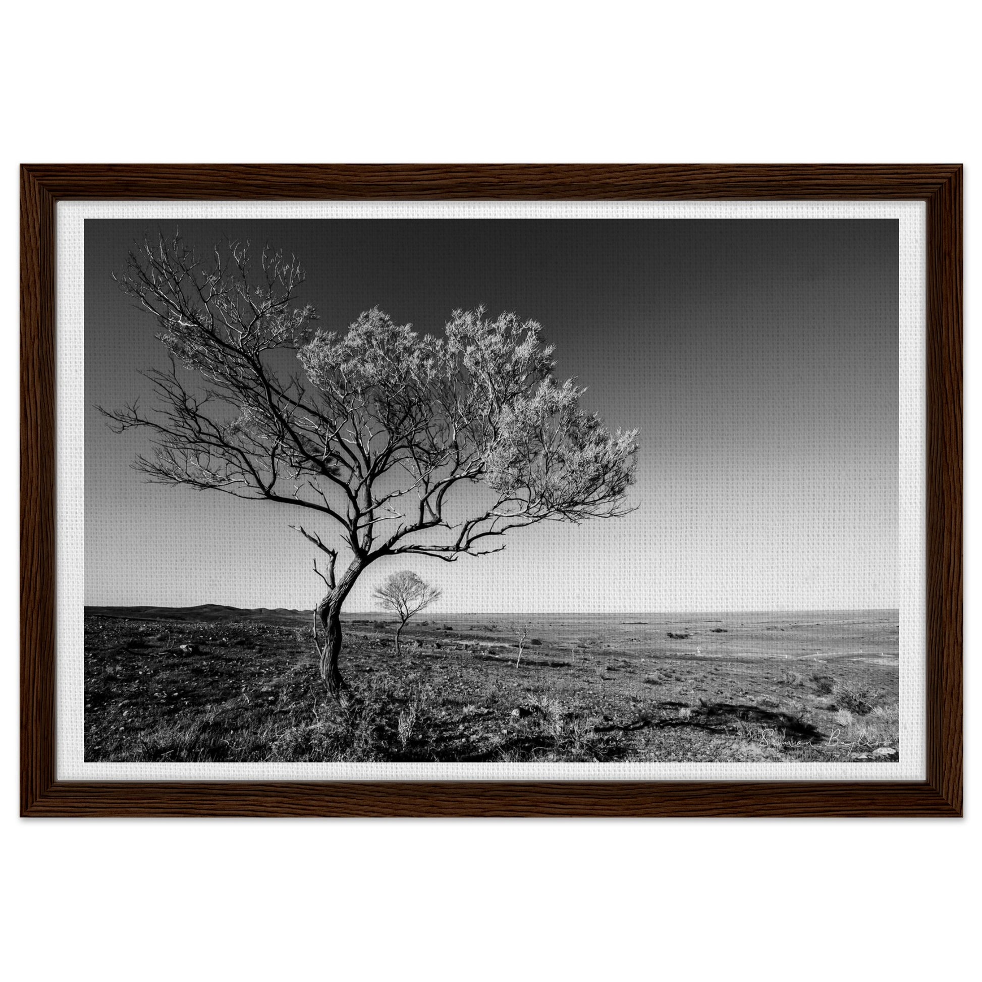 5e815800-e3dd-48d6-bd7d-4081e4c41458