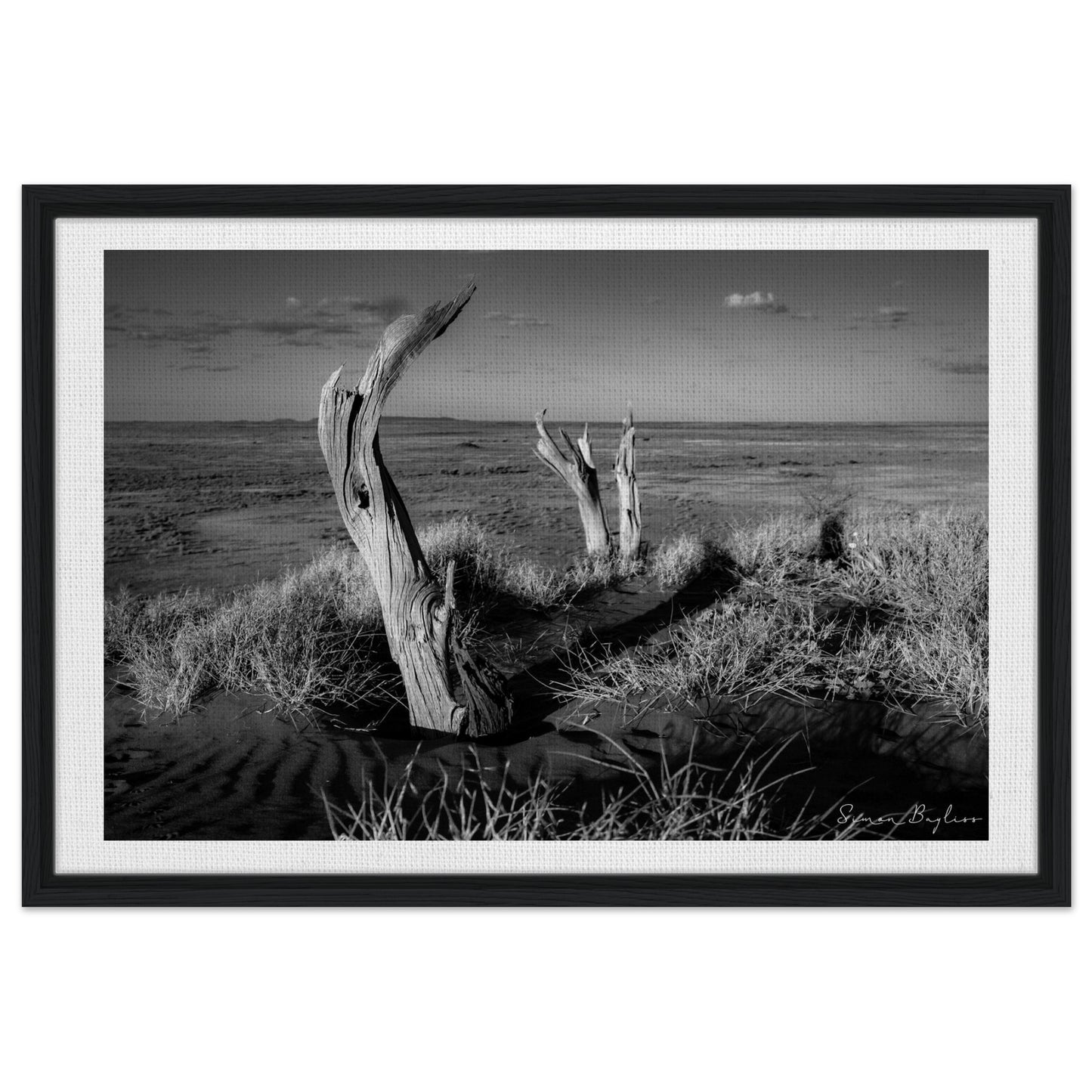 5f07f373-d676-442d-be46-8a5571469ef9