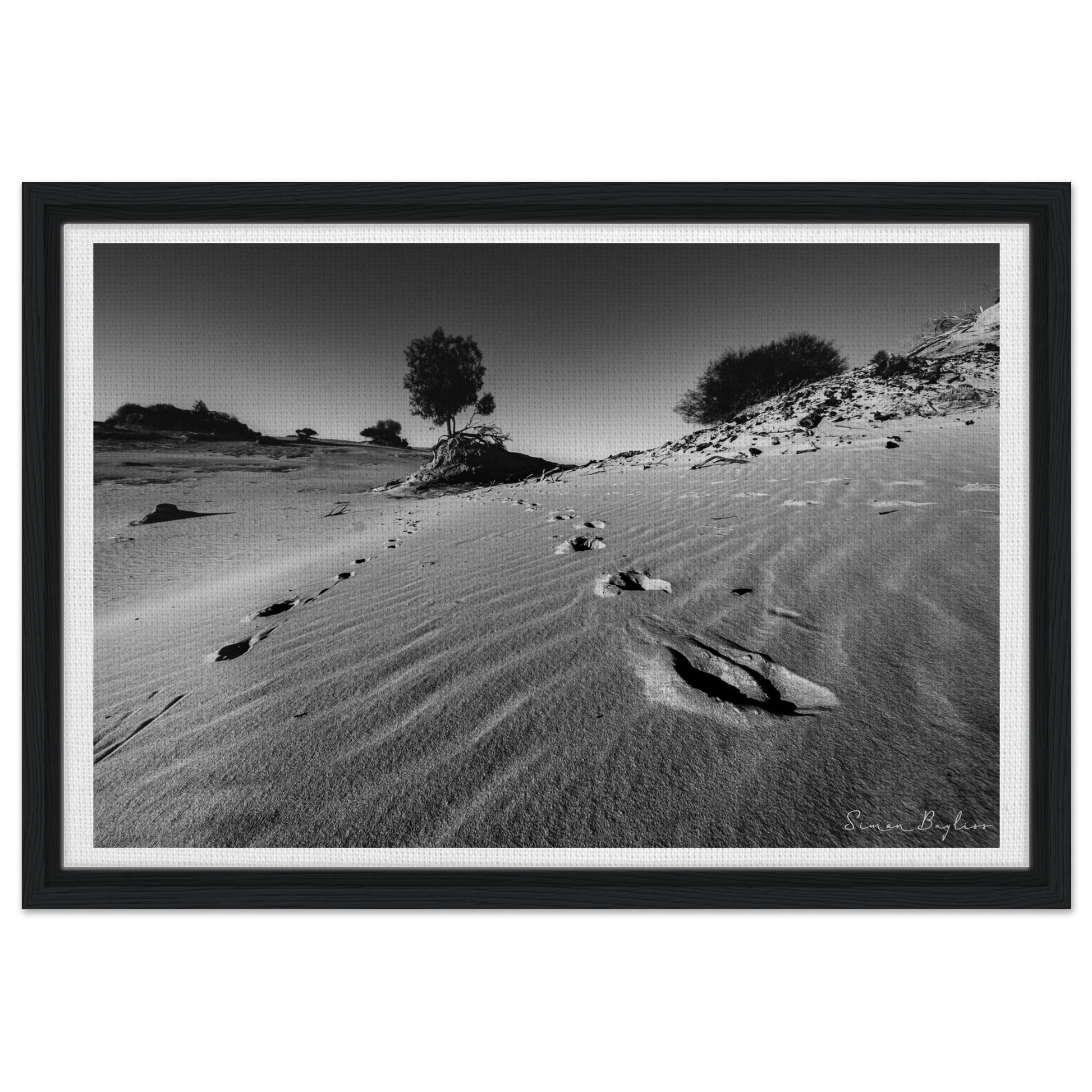 5fb0d221-9019-4fda-93e2-596d59bb8378