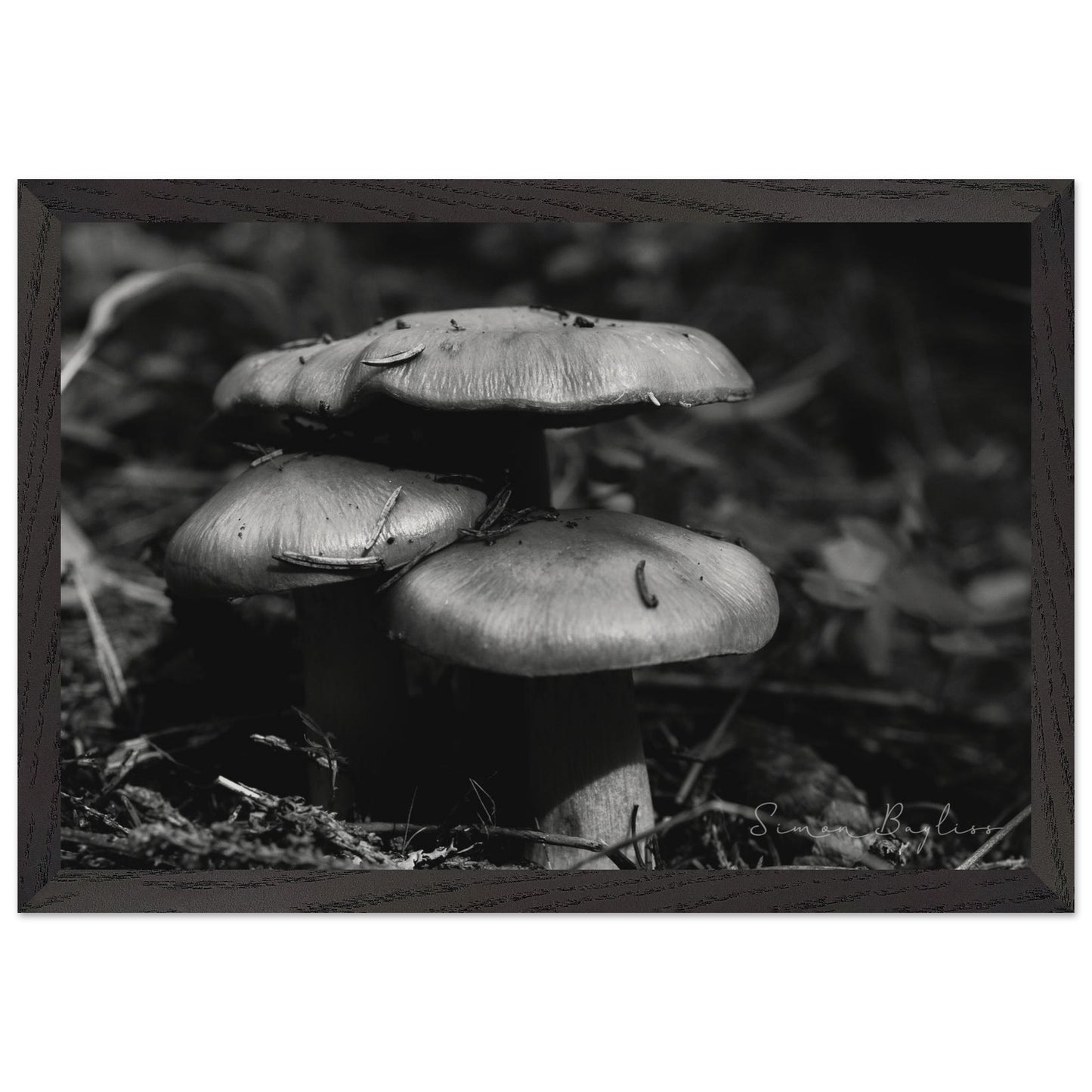 5fddc34b-e957-4846-be59-240b01d3b681