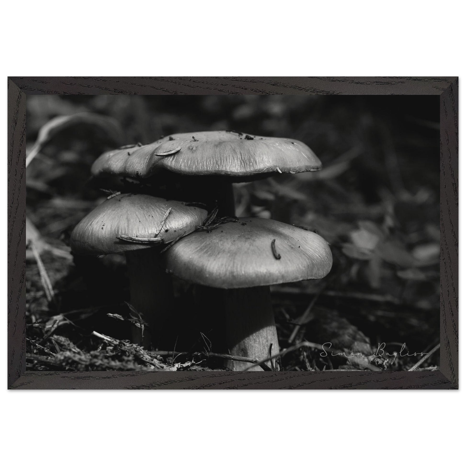 5fddc34b-e957-4846-be59-240b01d3b681