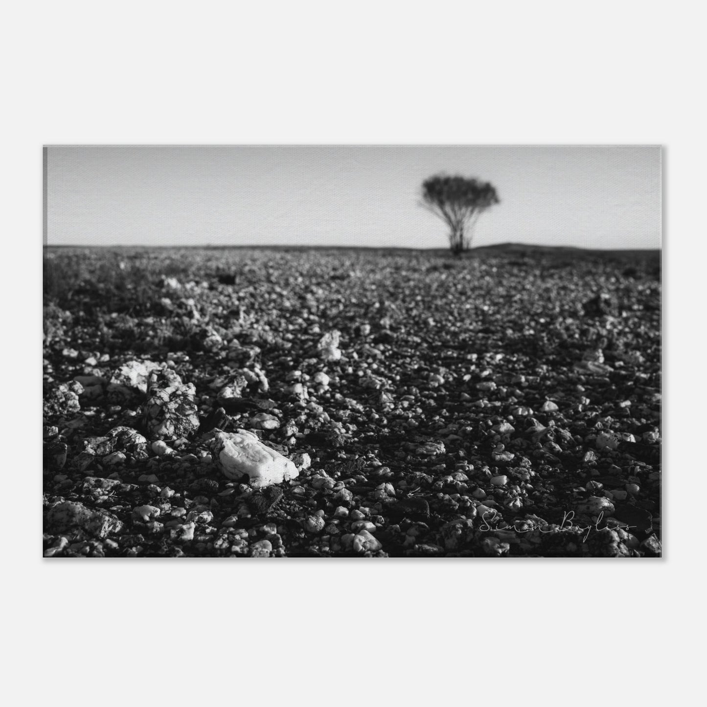 60b897a1-9eef-49a6-b958-877bfe55bfd6