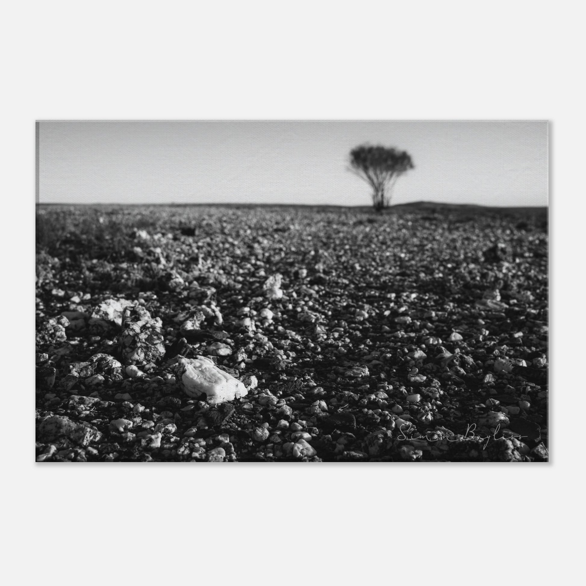 60b897a1-9eef-49a6-b958-877bfe55bfd6